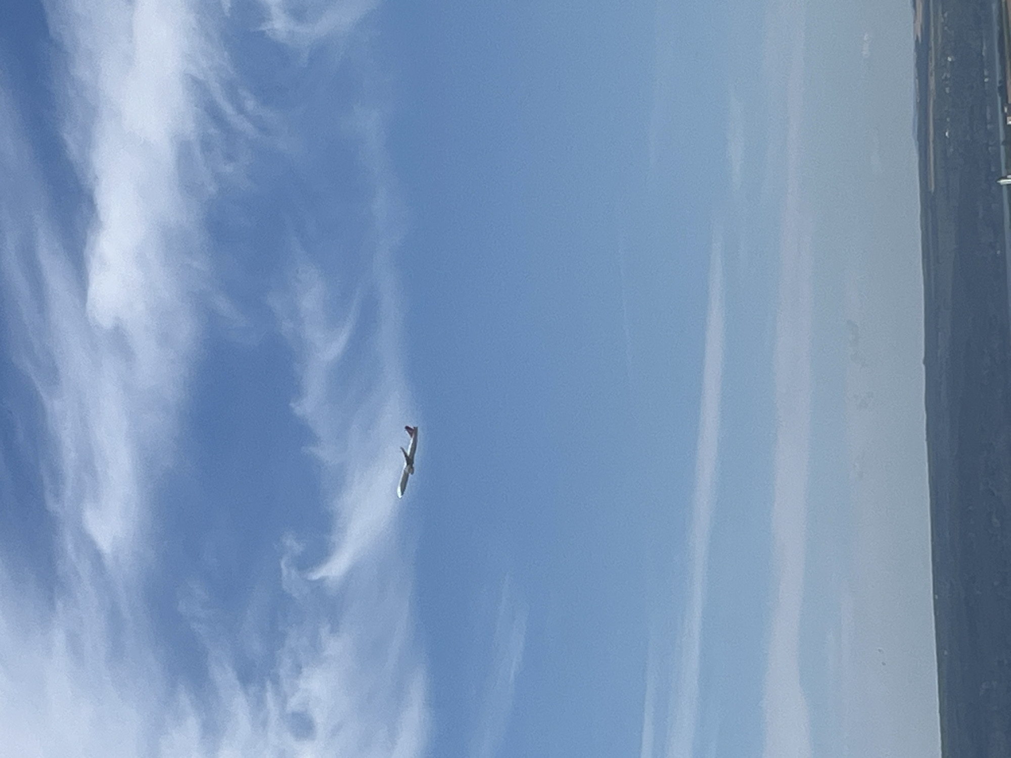 An airplane is captured in mid-flight against a bright blue sky, punctuated by wispy white clouds. The plane is white with a red tail and appears to be ascending, its wings tilted upward. Below the sky, a vast, hazy landscape stretches across the frame, featuring rolling hills and a distant body of water, possibly the Black Sea. The overall scene suggests a clear day with good visibility. While the specific location within Varna, Bulgaria, is not explicitly identifiable from the image, the presence of an airplane and the expansive landscape are consistent with the area's geography. No people or specific structures are clearly visible in the foreground.