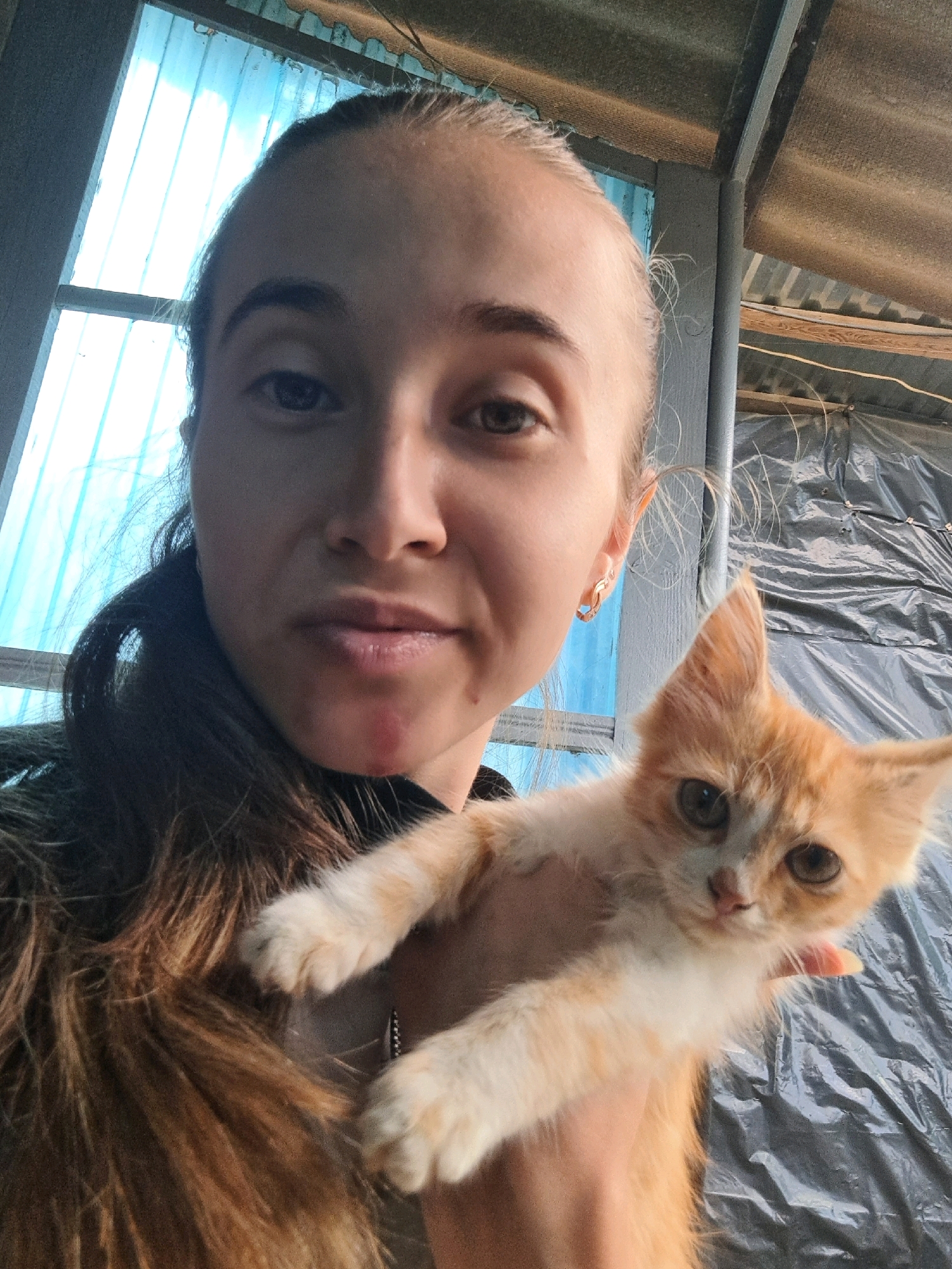 A young woman holds an orange and white kitten in her arms. The woman has long brown hair, and is wearing a dark colored top. The kitten is looking towards the camera, with its paws resting on the woman's arm. The background appears to be an outdoor area with a corrugated roof and a blue plastic sheeting. The overall scene suggests a casual, informal setting.