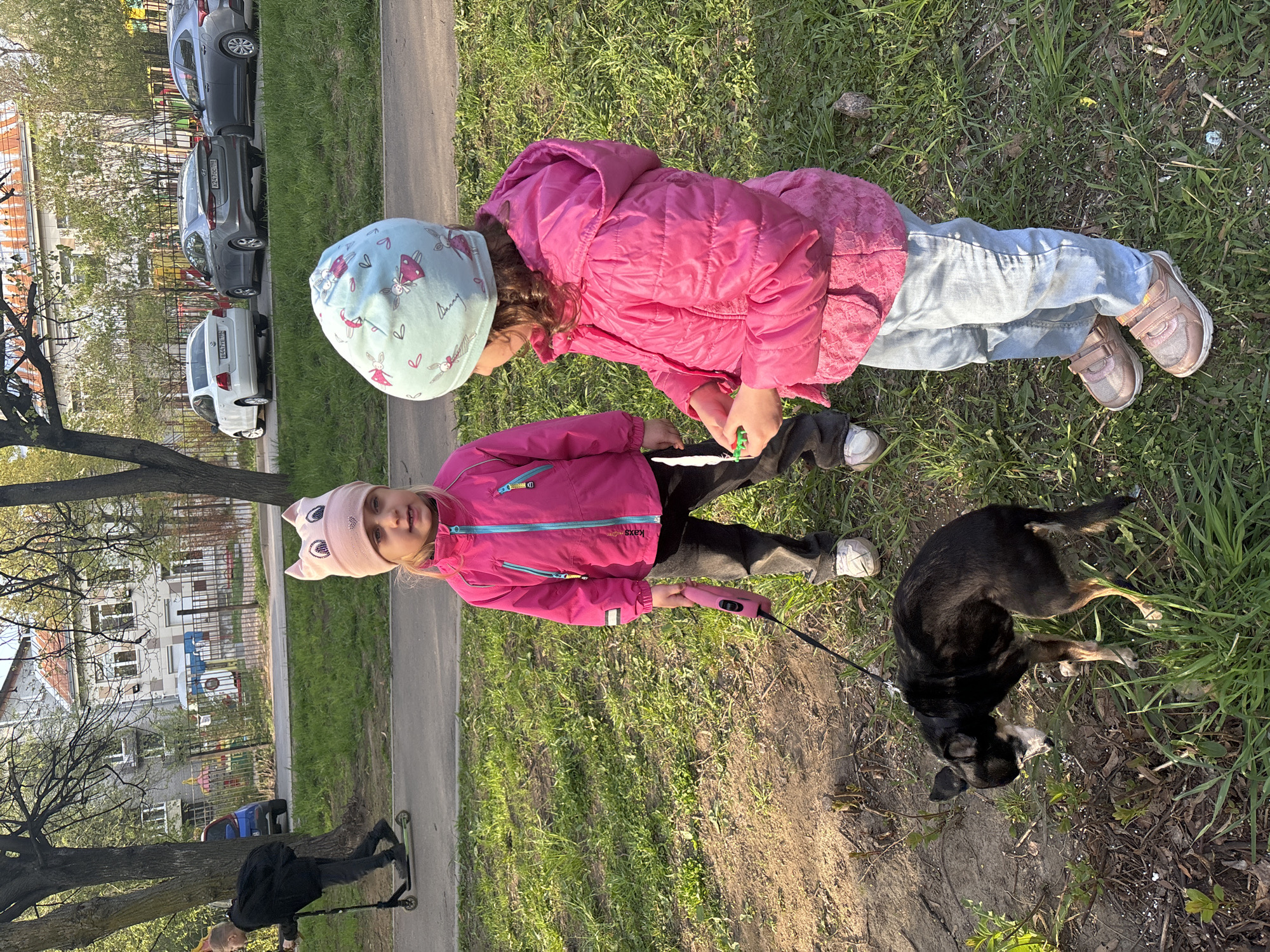 Two girls, likely sisters, are in a grassy area near a sidewalk and street in a city that appears to be Saint Petersburg, Russia. The younger girl, wearing a pink jacket and a pink cat-eared hat, holds a pink retractable leash attached to a small, mostly black dog. The older girl, in a pink jacket, light blue jeans, and a light blue hat with a pattern, is next to her. They appear to be interacting, possibly looking at something on the ground between them. A paved sidewalk runs along the edge of the grass, and a row of parked cars is visible on the other side of the sidewalk. Buildings are visible in the background. Trees are interspersed between the buildings.