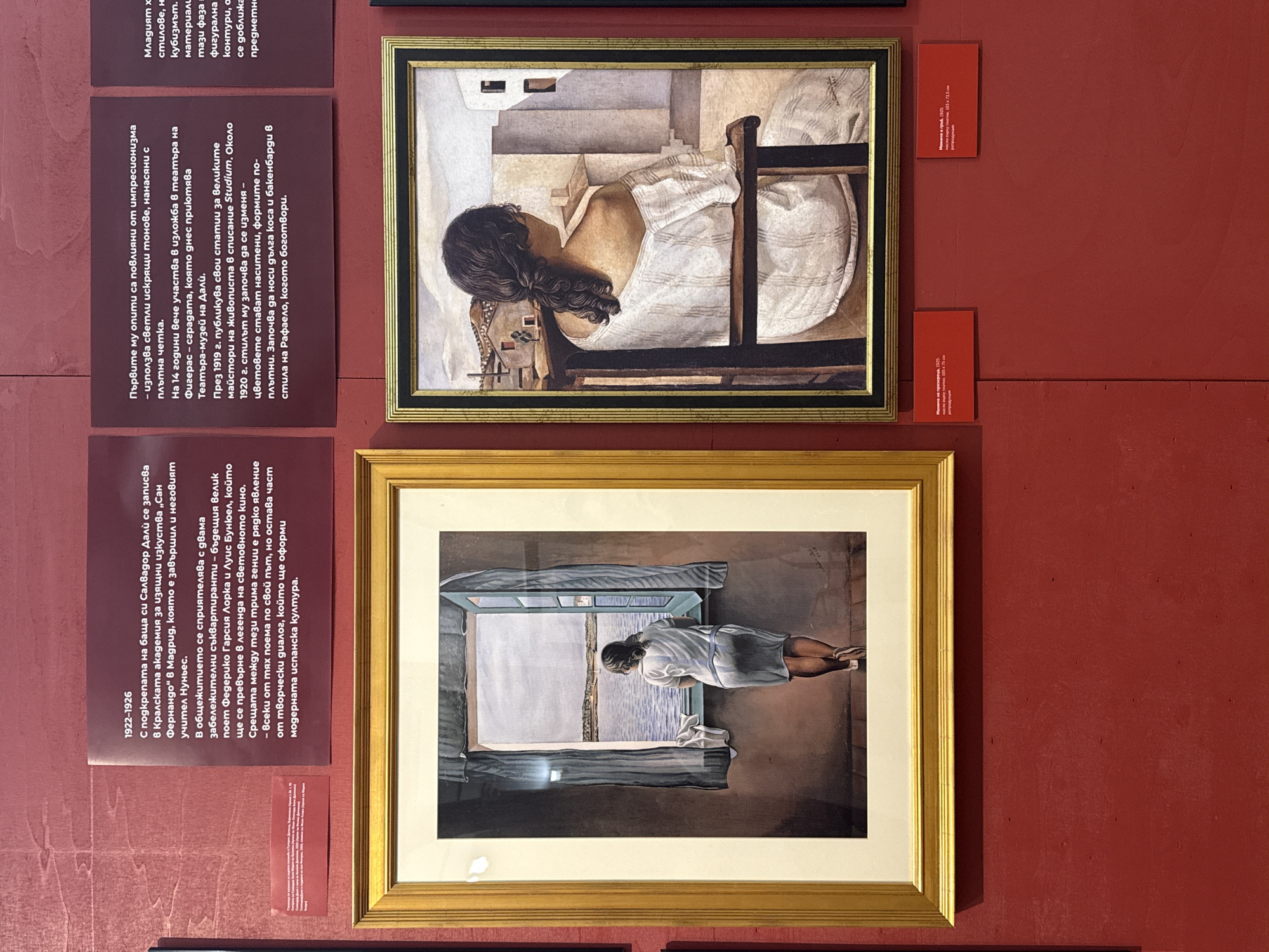 The image shows a museum exhibit displaying two paintings by Salvador Dalí. The paintings are mounted on a red wall. To the left is a painting of a woman in a white dress standing in front of a window, looking out at the sea. To the right is a painting of a woman with dark hair, also in a white dress, sitting in a chair and looking away from the viewer. Both paintings are framed. Below the paintings are red informational plaques with text in Bulgarian. One plaque, to the left of the paintings, has the dates "1922-1926" and text describing Dalí's work and influences. The plaque below the left painting reads "Жена на прозореца, 1925" (Woman at the window, 1925) and gives dimensions. The plaque below the right painting reads "Жена в гръб, 1925" (Woman in profile, 1925) and also gives dimensions. The overall scene appears to be an indoor art exhibition.
This exhibit is located in the Municipal Gallery "Boris Dymitrov" in Pernik, Bulgaria.
