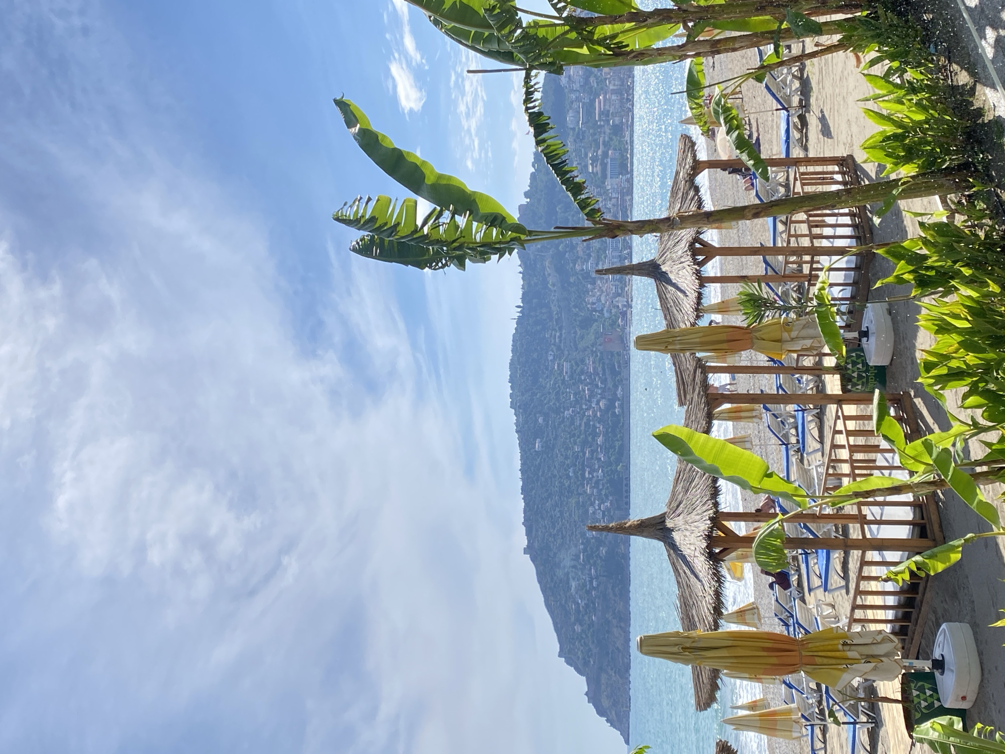 This photo depicts a beach in Alanya, Turkey. The image is vertically oriented, showing a view from behind the beach structures, with the sea and coastline in the background.
In the foreground are multiple beach umbrellas and wooden lounge setups. The umbrellas are straw-thatched and some are closed, covered with yellow and orange fabric. Lounge chairs are lined up under the umbrellas. Green plants with large leaves are growing around the lounge setups.
In the background, the turquoise sea stretches along the coast. A mountainous landmass with buildings, likely the city of Alanya, is visible in the distance. The sky is blue with scattered white clouds.