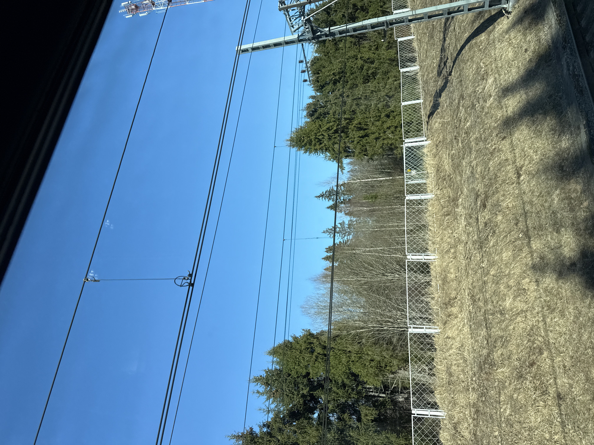 The image presents an exterior scene captured from a window, likely of a train, depicting a railway environment under a clear blue sky in Borok, Russia. Overhead, multiple dark-colored electrical power lines and a catenary system, including insulators and a tensioning device, traverse the frame. A tall, lattice-style cellular communication tower is visible on the far right against the sky, adjacent to a robust metallic support structure for the railway's electrification system. The mid-ground reveals a dense treeline composed of dark green coniferous trees interspersed with leafless deciduous trees with light-colored bark. Below the trees, a white metal mesh fence, segmented by vertical posts, runs horizontally across the scene. The foreground consists of a gently sloped embankment covered entirely in dormant, dry, light brown vegetation. A section of railway track, ballasted with gravel, is visible in the bottom right corner. Strong sunlight illuminates the scene, casting shadows from the overhead lines and support structures onto the embankment and the window's surface. No individuals, actions, or direct interactions are depicted.