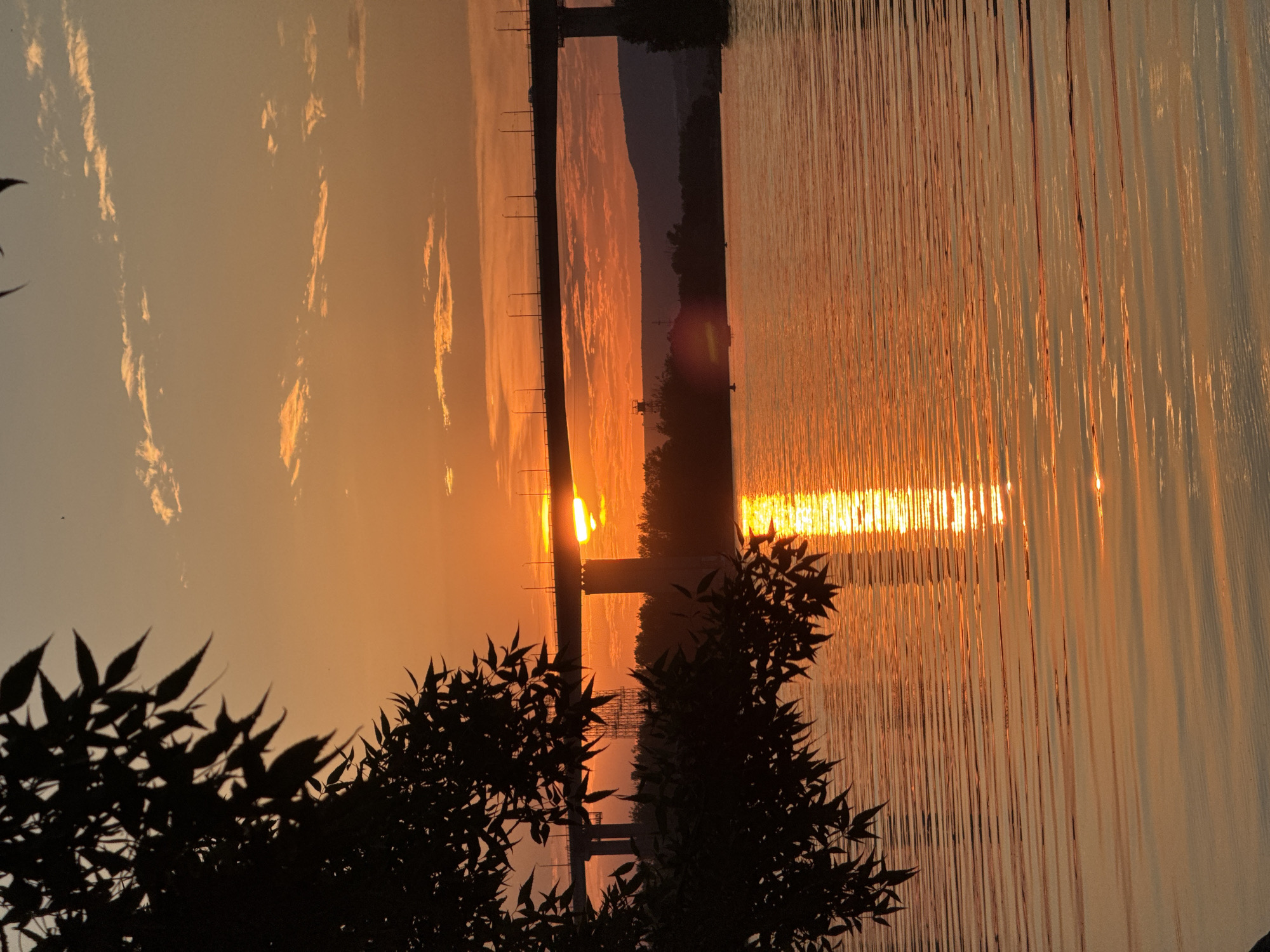 The image depicts a sunset over a body of water, likely the Black Sea near Varna, Bulgaria. The sun, a bright orb with distinct sunbeams, is low on the horizon, casting a warm, golden glow across the scene. The water's surface is rippled, reflecting the vibrant hues of the sunset and creating a shimmering effect.
In the foreground, silhouetted against the bright sky and water, are the dark shapes of leafy branches, suggesting the presence of trees or bushes on the shoreline. These elements frame the central view of the sunset.
Further in the distance, a long, dark structure, possibly a pier or a bridge, stretches across the water. Along its length, illuminated lights or poles are visible, adding a man-made element to the natural landscape. Beyond this structure, a tree line or distant hills form a darker silhouette against the glowing sky.
The sky itself is a gradient of warm colors, transitioning from a soft orange near the sun to a lighter, more muted tone higher up. Wispy clouds, tinged with the sunset's light, add texture to the sky. The overall impression is one of tranquility and natural beauty, with the setting sun creating a dramatic and serene atmosphere. The time of day is clearly sunset, and the weather appears calm, with no indication of wind or rain. There is no visible text in the image.