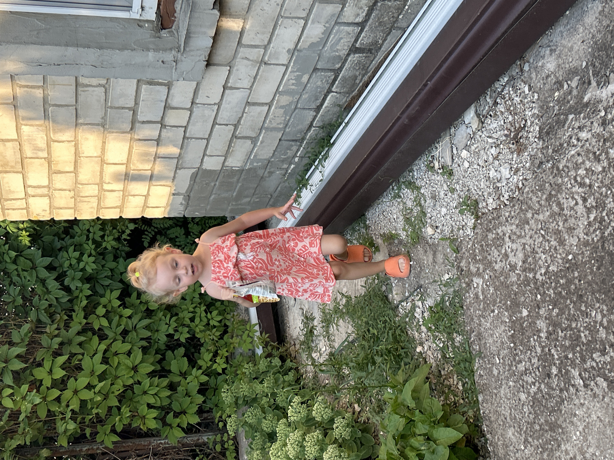 A young Caucasian girl with blonde hair pulled into a ponytail is walking towards the viewer in an outdoor setting. She is wearing a pink and white patterned dress and orange sandals. She is holding a small, partially visible bag in her right hand. The background consists of green foliage on the left and a light-colored brick wall on the right. The ground is a mix of concrete and gravel. The scene appears to be a residential area, possibly a backyard or garden, in Gelendzhik, Russia. The lighting suggests it is daytime, with shadows cast by the setting sun on the brick wall.