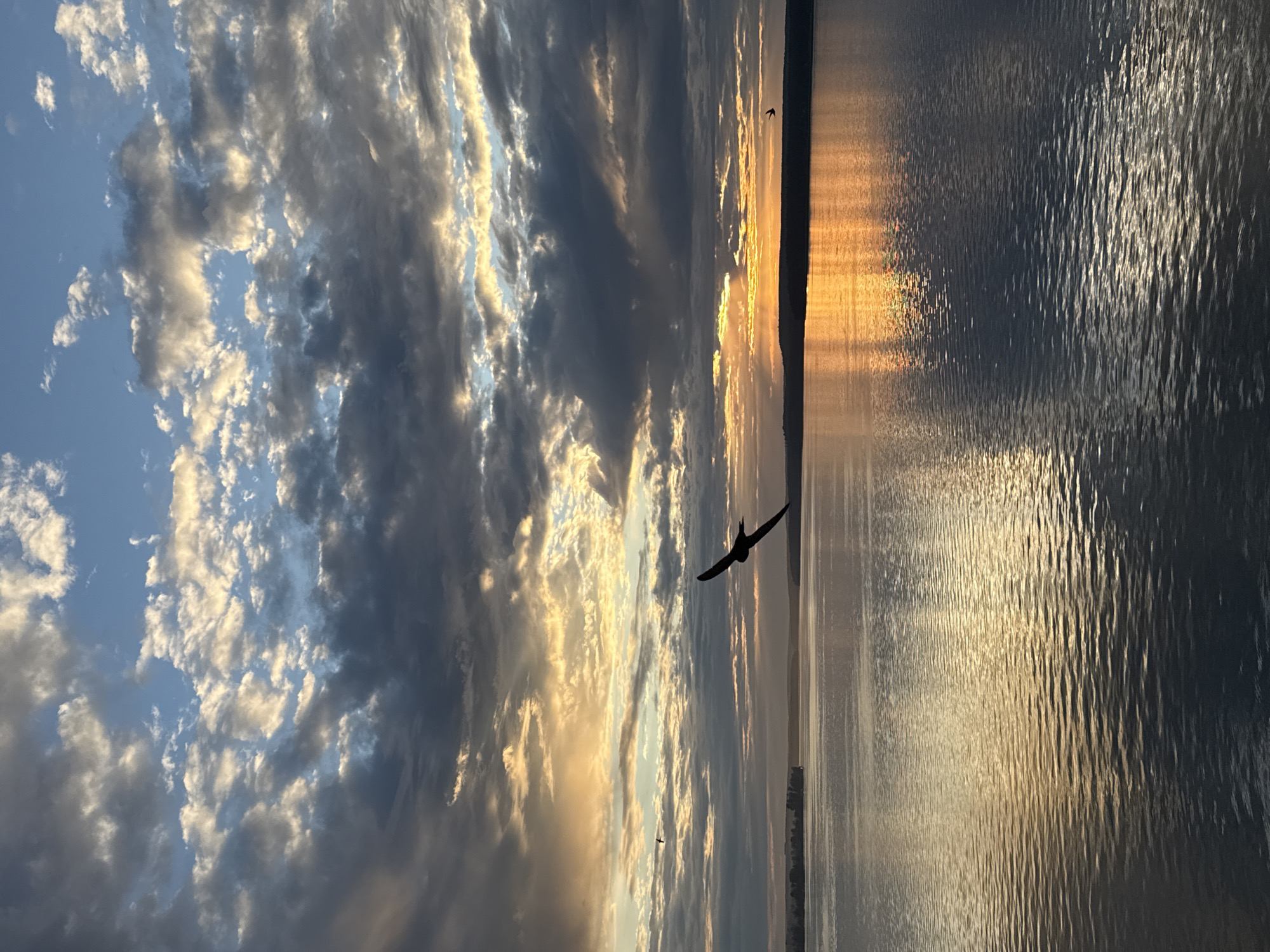 A bird flies over a large body of water at sunset. The sky is filled with dramatic clouds, tinged with the warm colors of the setting sun. The water reflects the sky, creating a shimmering surface. The scene appears to be a natural landscape, possibly a lake or river. The silhouette of the bird is distinct against the bright sky. The distant shore is barely visible, suggesting a wide expanse of water. The overall impression is one of natural beauty and tranquility. There are no people or man-made structures clearly visible in the image, apart from a distant, dark shoreline which could potentially host some infrastructure, but it is too indistinct to determine. The location is stated to be Votkinsk, Russia.