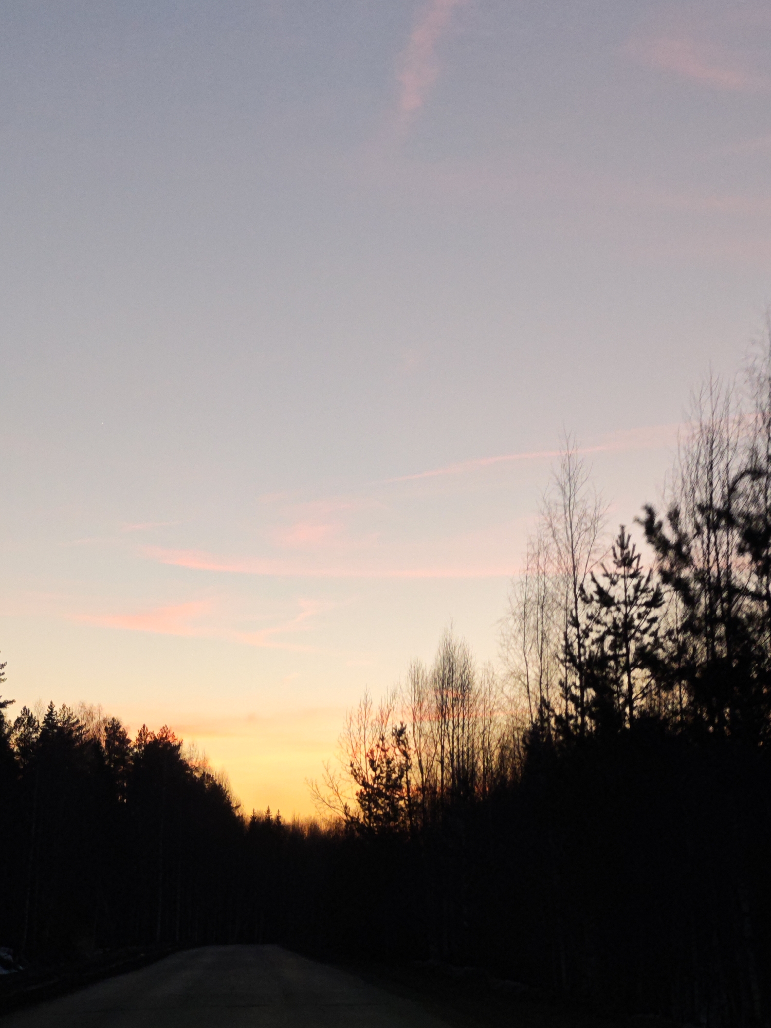 The image depicts a sunset view from a road in Markovskii, Russia. The sky transitions from pink and orange hues near the horizon to a light blue/gray at the top. The silhouetted forms of trees and forest are visible along the horizon line, with some bare branches extending into the sky. The road is dark and stretches toward the horizon.