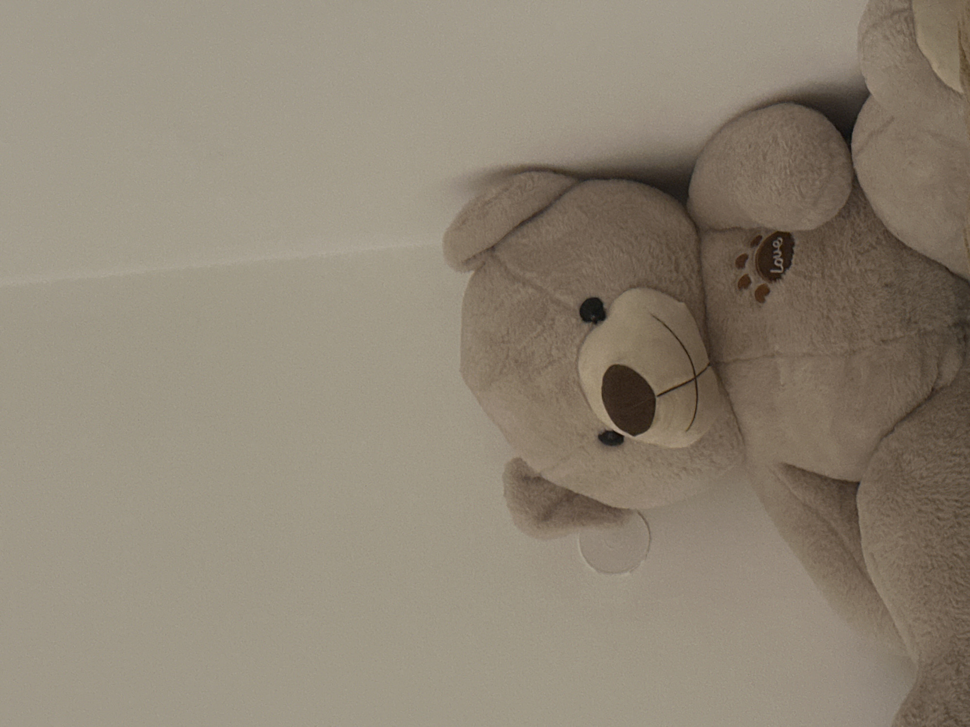 A close-up shot looking up at a light beige teddy bear with dark brown eyes and nose. The teddy bear is turned to the right and has a brown patch with the word "love" on its right chest. The background is a plain, light-colored ceiling. There is no indication of the location.