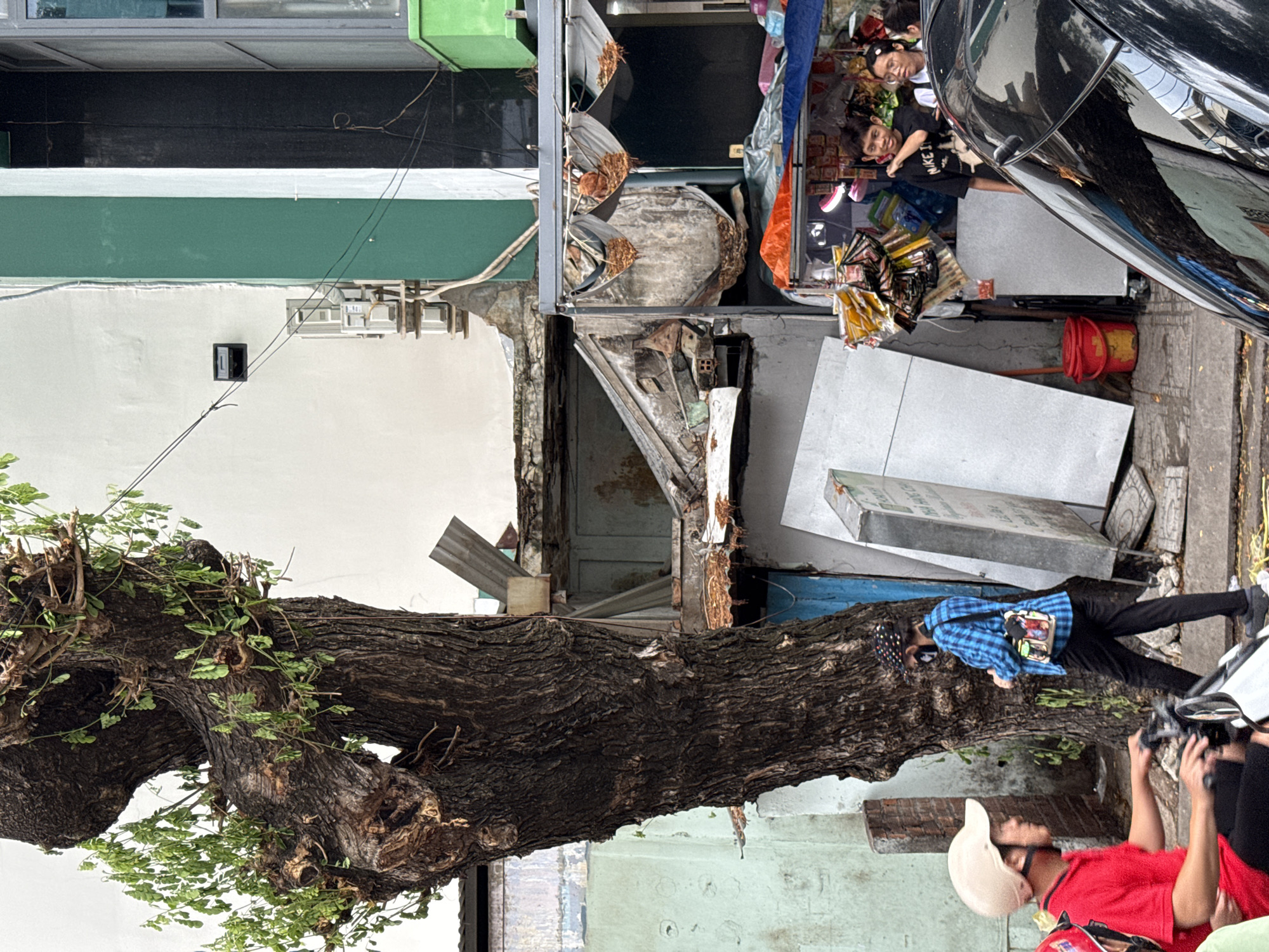 The image captures a street scene in Nha Trang, Vietnam, dominated by a large, gnarled tree trunk on the left. In the foreground, two individuals are visible on a motorcycle. The person in the front, wearing a red shirt and a light-colored helmet, is the driver. Behind them, partially obscured, is another person. To the right of the tree, a person wearing a blue plaid shirt and a patterned cap walks away from the camera.
Behind the tree and people, there is a ramshackle structure with a damaged roof and exposed beams, suggesting construction or demolition. To the right of this structure, a stall or shop is set up with various items displayed under a tarp. Several people are gathered near the stall, including a young man in a black t-shirt and a young woman wearing glasses. A black car is parked in the foreground on the right, reflecting the surrounding environment. The buildings in the background display a mix of colors, including white, green, and black. The overall impression is one of a bustling urban environment with elements of decay and commerce.