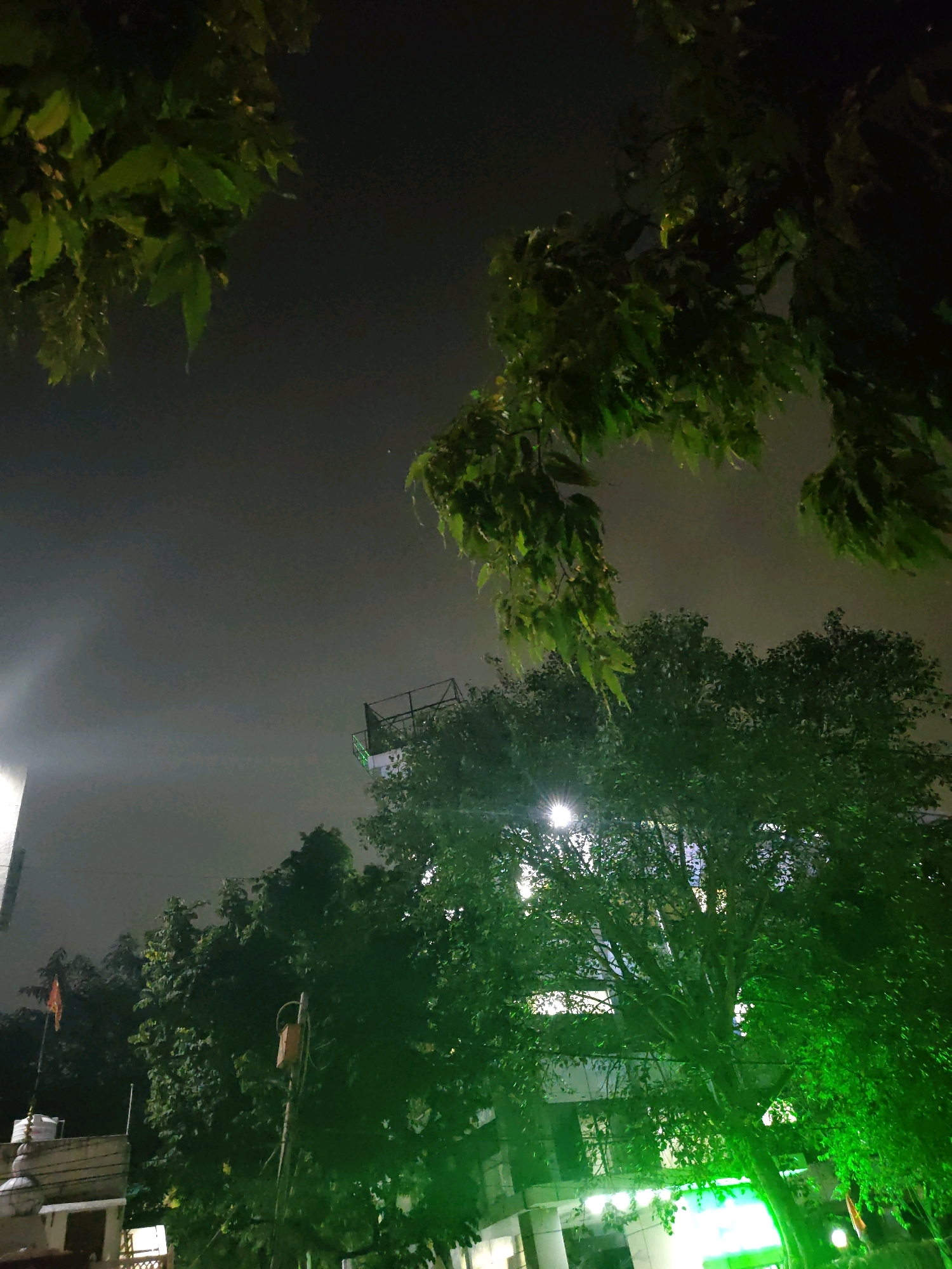 This image captures a night scene with trees and a building in the background. The sky is dark and overcast, with some faint light filtering through. Green lights are illuminating some of the foliage, creating a dramatic effect. There are no people or animals visible in the image. The building appears to be a commercial or residential structure, with some windows visible. A small orange flag is flying from a pole on the roof of a lower structure to the left of the frame, possibly indicating a religious or cultural site. There is also a metal structure, possibly a platform or scaffolding, visible above the trees in the distance. The overall impression is one of an urban environment at night, with man-made lights interacting with natural elements.