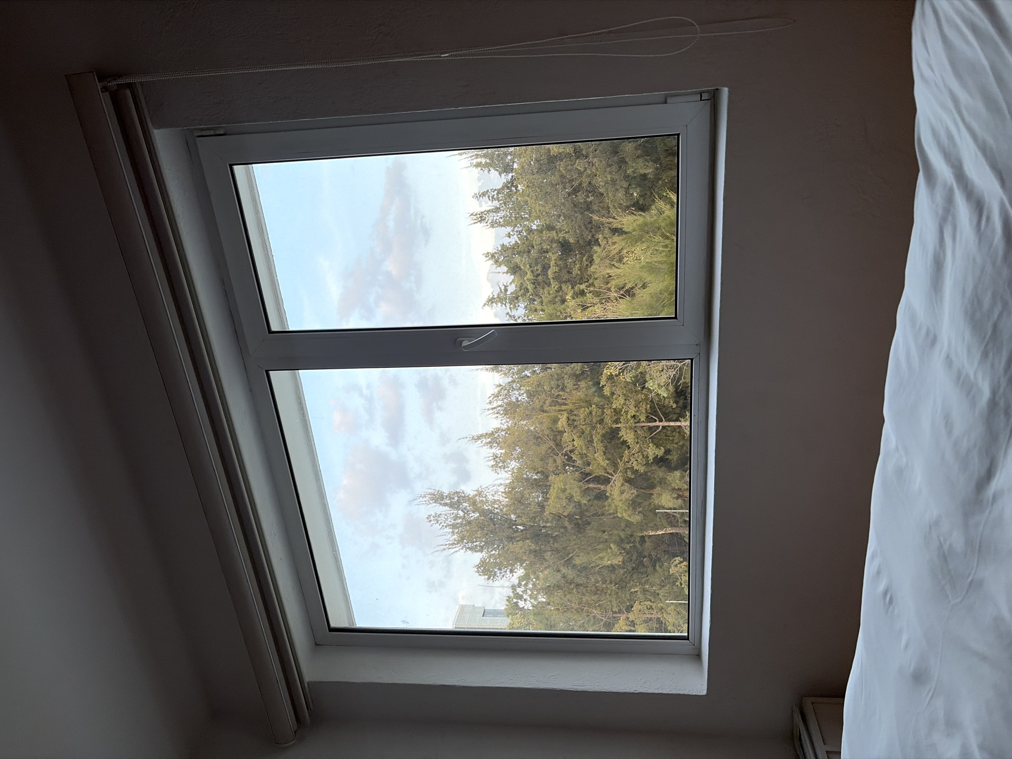 The image shows a view from inside a room looking out of a double-paned window. Outside, there are green trees and a partly cloudy sky. A white curtain partially covers the right side of the image. The room appears to be located in San Bernardino Tlaxcalancingo, Mexico, based on the presence of a building visible through the trees in the window.