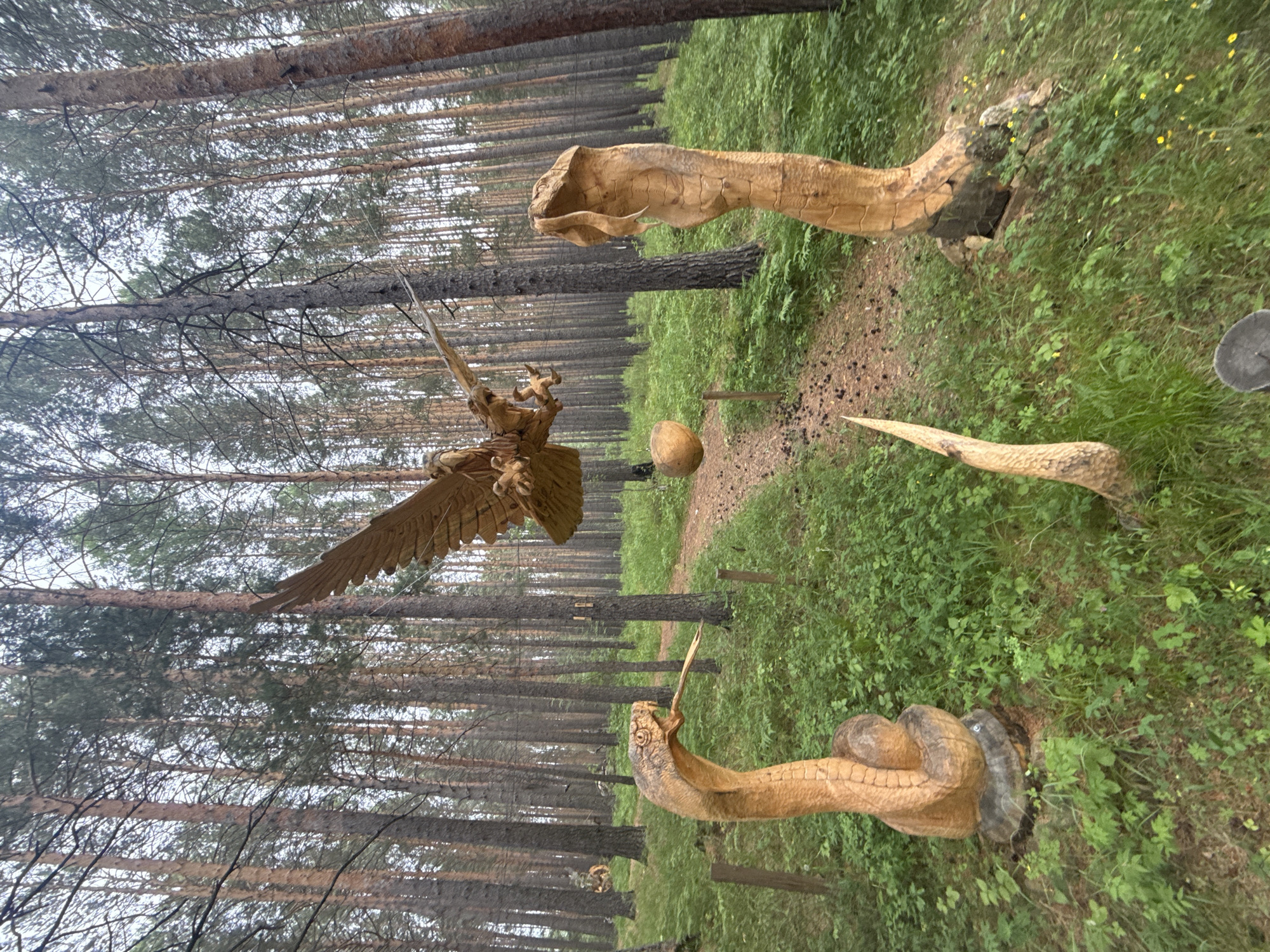 In Savvateevka, Russia, a forest clearing features wooden sculptures of an eagle and two cobras. The eagle, carved with outstretched wings, is positioned in the upper center of the frame, appearing to swoop down. Two cobra sculptures stand upright on either side of a dirt path that winds through the forest. The cobra on the left has its tongue flicking out, while the cobra on the right is coiled. A spherical object, possibly a boulder or another sculpture, hangs in the air near the eagle. The ground is covered in lush green grass and foliage, with scattered pinecones and fallen needles. Tall pine trees with thin trunks dominate the background, creating a dense forest environment. The sky is overcast.