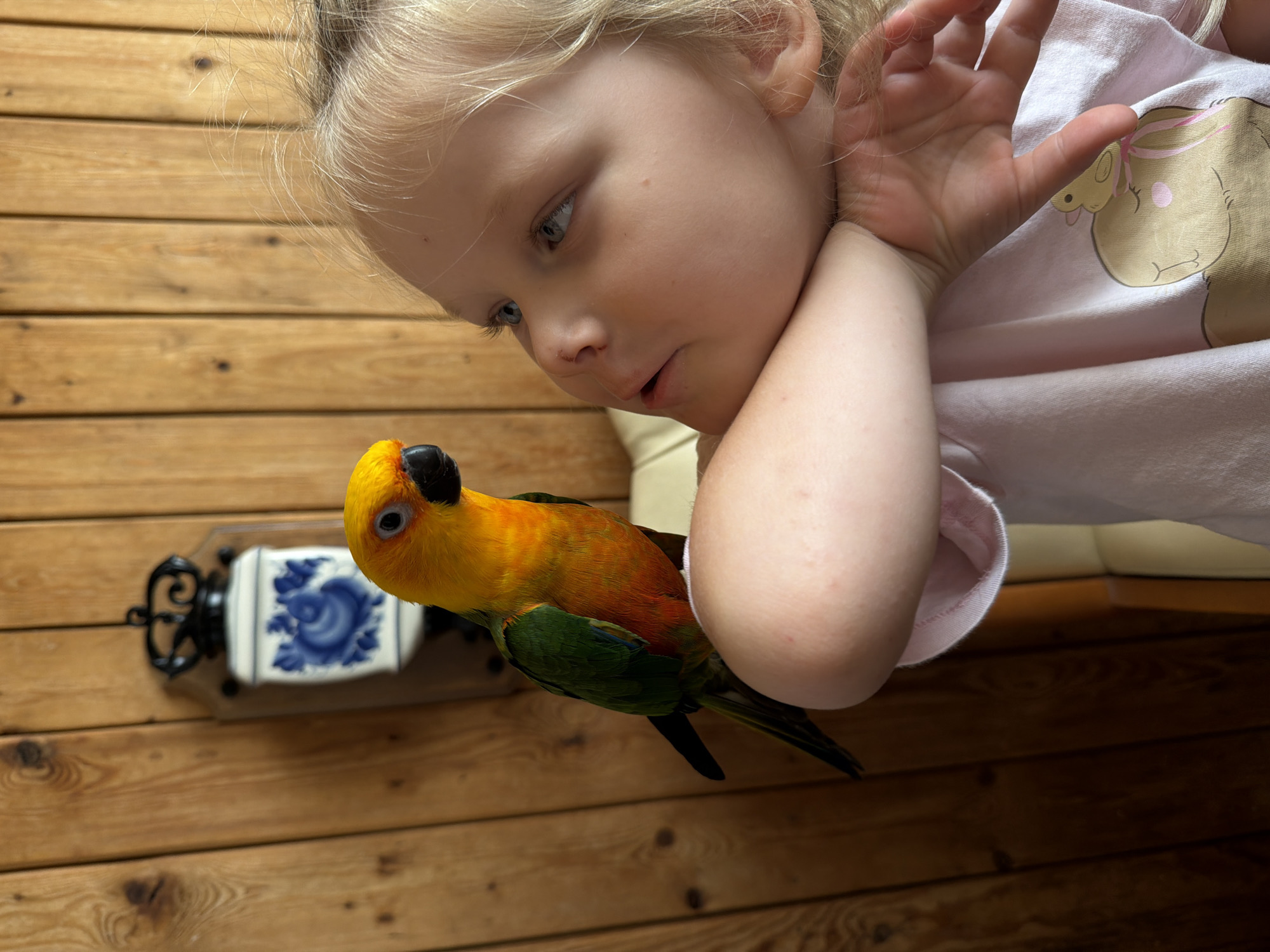 This media file features a young Caucasian girl with blonde hair lying down and interacting with a Sun Conure parrot. The girl is looking down at the parrot with a curious and gentle expression. She is wearing a light pink t-shirt with a cartoon drawing of a teddy bear on it. Her arm is bent, supporting her head, and her hand is visible near her face.
The parrot is perched on something near the girl, possibly her arm or shirt, and is looking towards her. It is vibrantly colored with yellow, orange, green, and blue feathers. The background consists of wooden planks, suggesting an indoor setting with a rustic or natural aesthetic. A decorative item with blue and white floral patterns and black metal accents is visible on the wooden wall behind the parrot.
The lighting suggests it could be daytime, possibly indoors with natural light. There is no visible text in the image. The overall scene conveys a sense of quiet interaction and connection between the child and the pet bird. The location context is Khimki, Russia.
