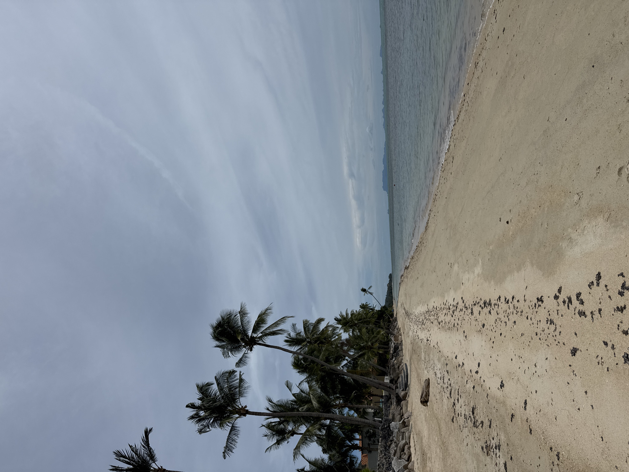 This image depicts a wide, sandy beach on a cloudy day in Baan Tai, Thailand. The foreground features a textured, light-colored sand beach with scattered dark debris. A line of palm trees, some leaning, runs along the left side of the beach, separating it from what appears to be a low-lying structure and a rocky embankment. The ocean is calm, with muted blue-grey water meeting the shore. In the distance, a hazy coastline with islands is visible on the horizon. The sky is overcast with diffused light, characterized by streaky, wispy clouds. No people or animals are present in the scene. The scene is tranquil and natural, with a sense of solitude.