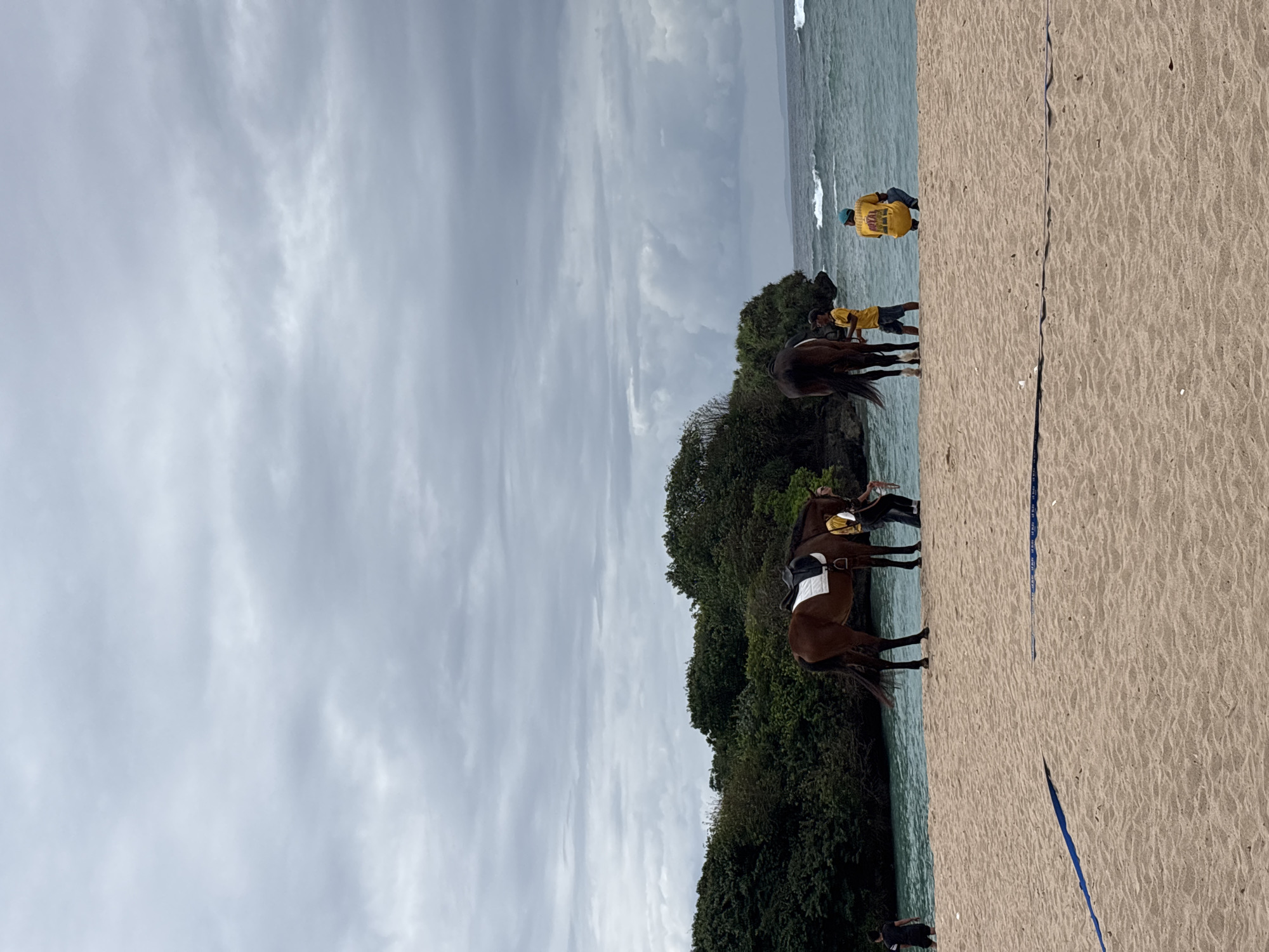 The image captures a scenic view of a sandy beach in Kuta Selatan, Indonesia, under a cloudy sky. In the foreground, the light brown sand is textured and marked with a faint blue line. Two horses are present near the waterline. The horse on the left is a reddish-brown with a white saddle pad and a dark saddle. It is being attended to by a person in a yellow shirt and dark pants. The horse on the right is a dark brown and appears to be standing beside a person in a yellow shirt and dark shorts. Further to the right, a person wearing a yellow shirt with the word "ROYAL" visible on the back is crouching down. The background features lush green trees lining a rocky outcrop, with the turquoise ocean and moderate waves visible beyond. The overall atmosphere suggests a tranquil, yet active, beach scene.