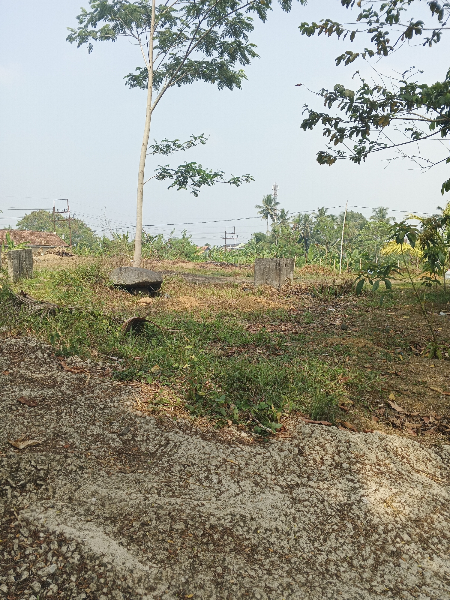 An outdoor, natural, wide shot shows an overgrown plot of land in Sukabumi, Indonesia. Dominating the left side of the frame is a tall, thin tree with sparse green leaves. In the center of the frame, a large, dark gray boulder rests on the ground amidst dry grass and weeds. To the right of the boulder, a square, gray concrete pillar stands, and further to the right, a young tree with vibrant green leaves. The ground is a mix of dirt, dry leaves, and patches of green grass. In the background, a red-tiled roof of a house is visible on the far left, followed by utility poles and wires stretching across the frame. Beyond that, a dense line of palm trees and other vegetation fills the horizon under a clear, pale sky. The foreground consists of a rough, granular surface, possibly unpaved ground or construction material. No people are visible.