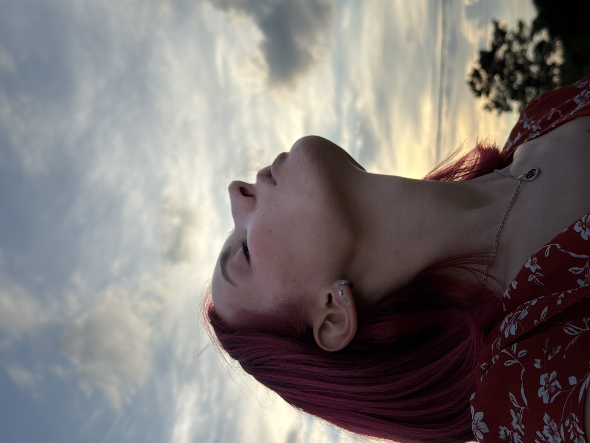A profile portrait of a young woman with vibrant pink hair is shown against a cloudy sky. She is looking upwards with her eyes closed, her head tilted back, and her mouth slightly open. She is wearing a red dress with a white floral pattern and a silver necklace. She has multiple piercings in her ear, including a hoop earring. The background consists of a sky with scattered clouds, with a hint of sunset colors on the horizon. A silhouette of a tree is visible in the lower right corner of the image. This scene is not specific to the city of Chaikovsky, Russia, as there are no identifiable landmarks or contextual elements to suggest that location.