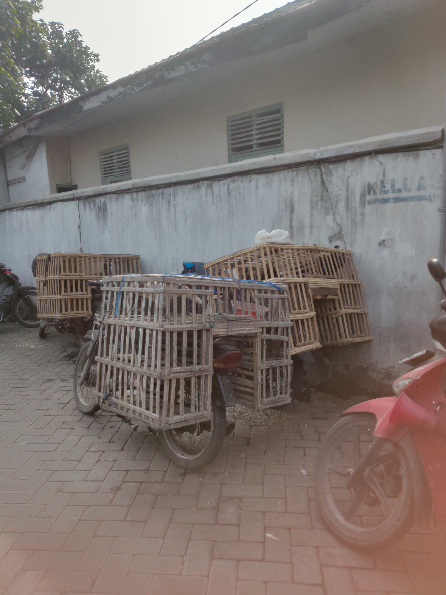 The image shows a street scene in the city of Kediri, Indonesia. In the foreground, a red motorcycle is parked. Behind it, a motorcycle is loaded with wooden cages, likely for transporting animals. Another similar motorcycle with cages is visible further back, as are more cages stacked against a wall. The wall itself is made of concrete and shows signs of wear and tear. Above the wall, a building with a roof and windows can be seen. Trees are also present in the background. The ground is paved with brick pavers. The scene appears to be in a relatively open area, possibly a market or a street adjacent to buildings. The lighting suggests it is daytime, with the sun casting some shadows.
