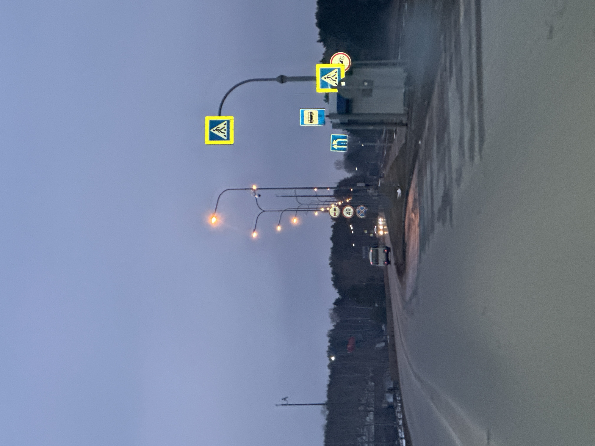 The image shows a street in Chaikovsky, Russia at dusk. The street is lined with streetlights and several traffic signs. One sign is a pedestrian crossing sign (zebra crossing), while others indicate speed limits and directions. The road appears wet, possibly from rain. A few cars are visible in the distance. The environment is urban, with trees and buildings lining the road. The sky is overcast.