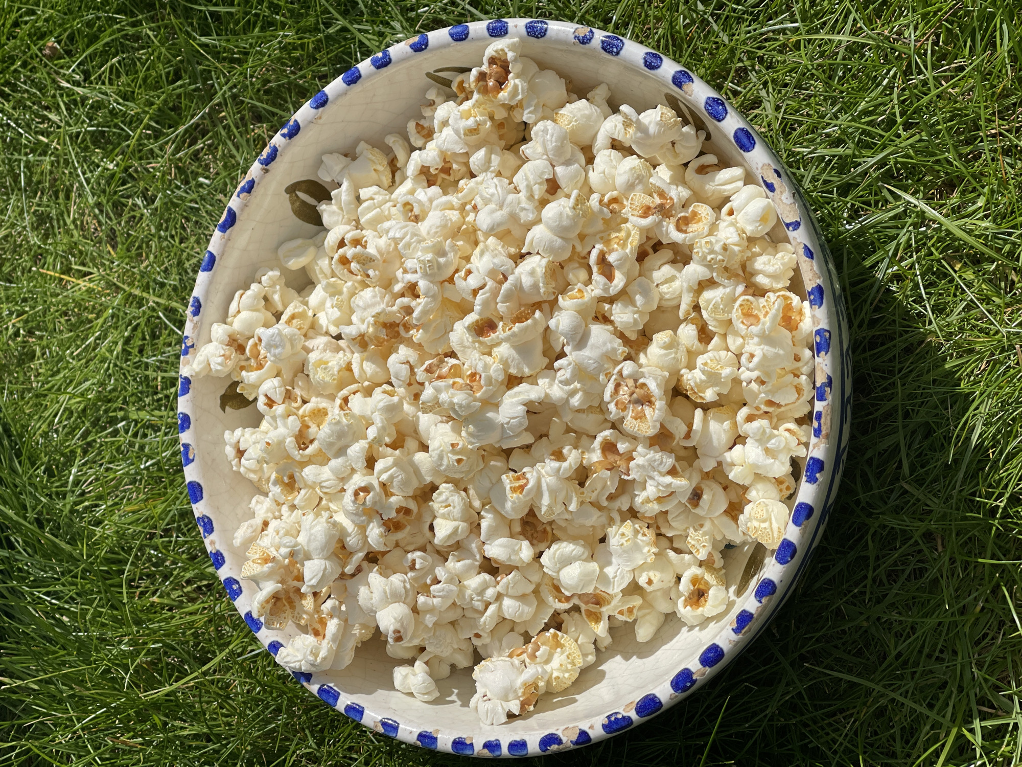 A top-down shot depicts a bowl of popcorn resting on grass, likely outdoors in daylight. The bowl is round, white with a blue dotted pattern around the rim. It is filled with a generous amount of white and light brown popcorn. The background is filled with green grass, suggesting a lawn or field. No people are visible. There is no indication of the location being in Maidstone, United Kingdom, or any other city.
