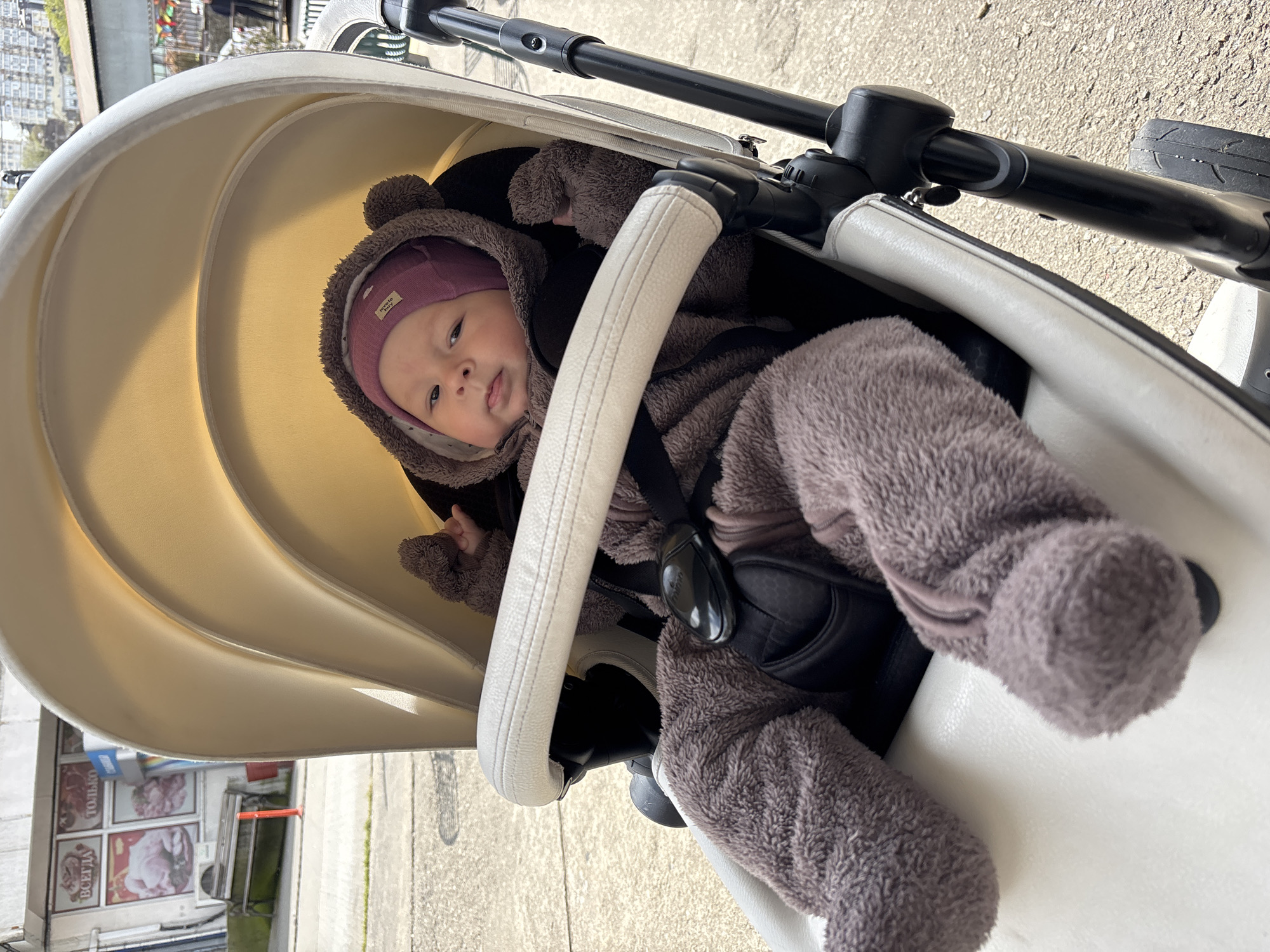 A baby wearing a purple hat and fuzzy brown jumpsuit is sitting in a white stroller. The stroller is on a paved surface, and a building with signs in Russian, possibly a shop, is visible in the background. The location is likely in Sochi, Russia, based on the Russian language on the storefront. The baby is secured in the stroller with a harness.