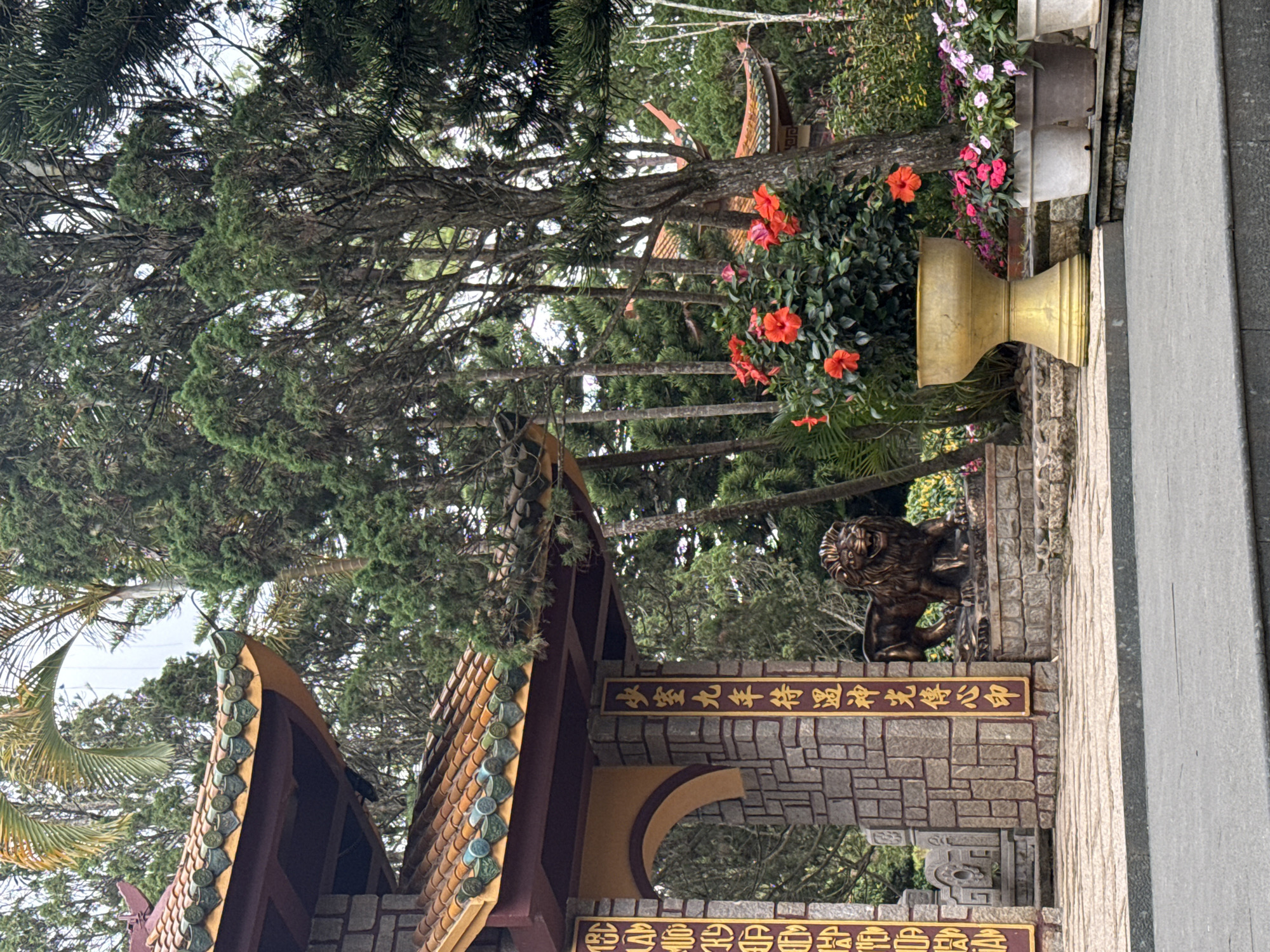 The image shows an entrance to a Buddhist temple, likely in Da Lat, Vietnam. The architecture features traditional curved roofs with green and orange tiles. The entrance is flanked by stone pillars inscribed with Vietnamese characters. A bronze lion statue stands guard to the right of the entrance. In front of the temple, a large golden planter holds a bush with bright red hibiscus flowers, accompanied by smaller pots of pink and purple flowers. Lush green trees, including pine trees and palm fronds, surround the temple, suggesting a mountainous or hilly terrain, common in Da Lat. The ground is paved with stone and concrete, and a gray asphalt path is visible in the foreground. The sky is overcast. There are no people visible in the image.