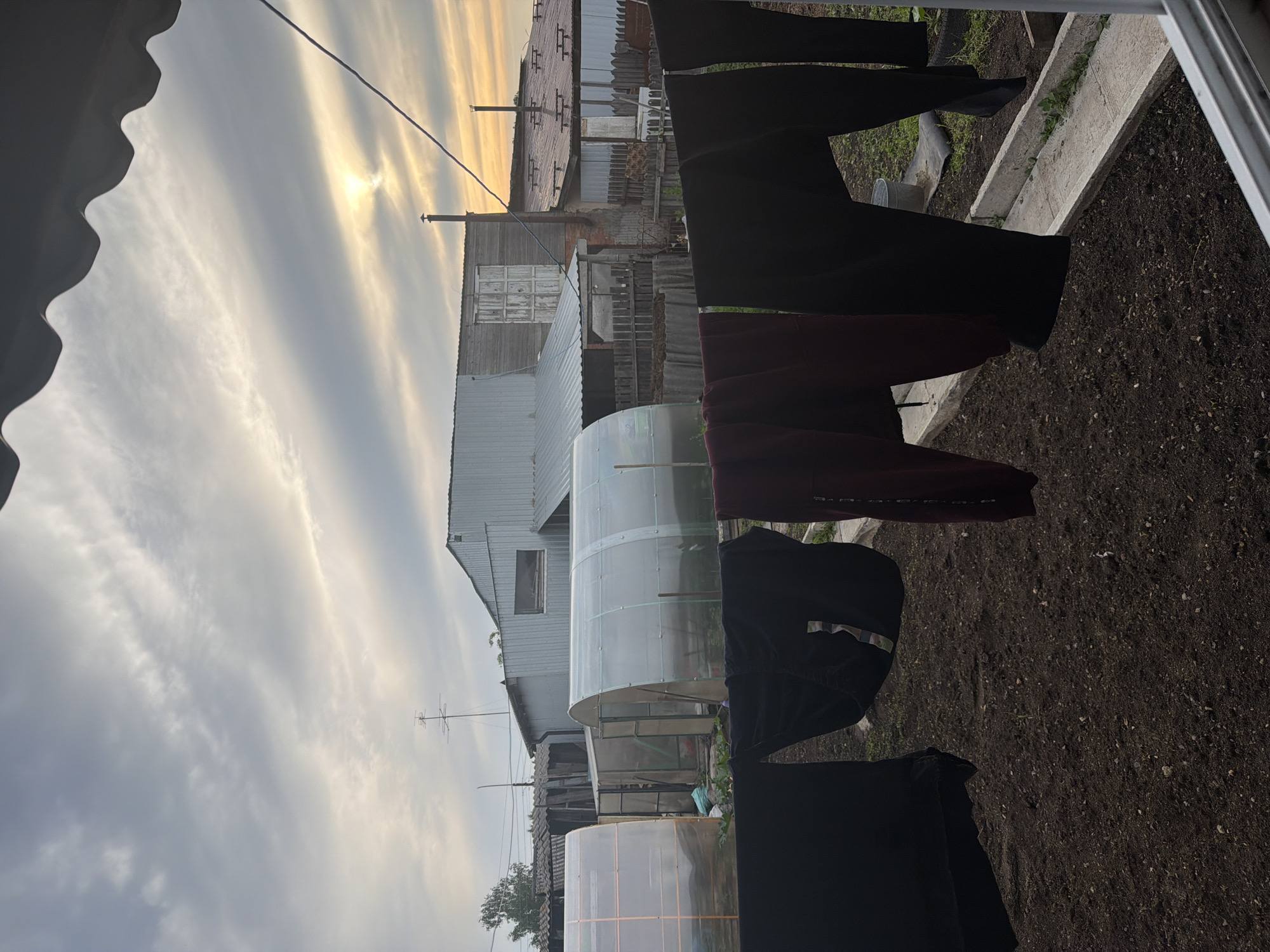An exterior, eye-level, vertical shot captures laundry hanging on a clothesline in front of a backyard. The scene is dominated by the overcast sky, with the sun peeking through the clouds on the right side of the frame. In the midground, several greenhouses and outbuildings are visible, constructed from corrugated metal and wood. The foreground shows a section of dark soil, with a raised garden bed made of concrete along the right edge. The laundry consists of several dark-colored garments, appearing to be pants or long shirts, hanging on a wire clothesline. The overall atmosphere is that of a rural or suburban backyard setting.