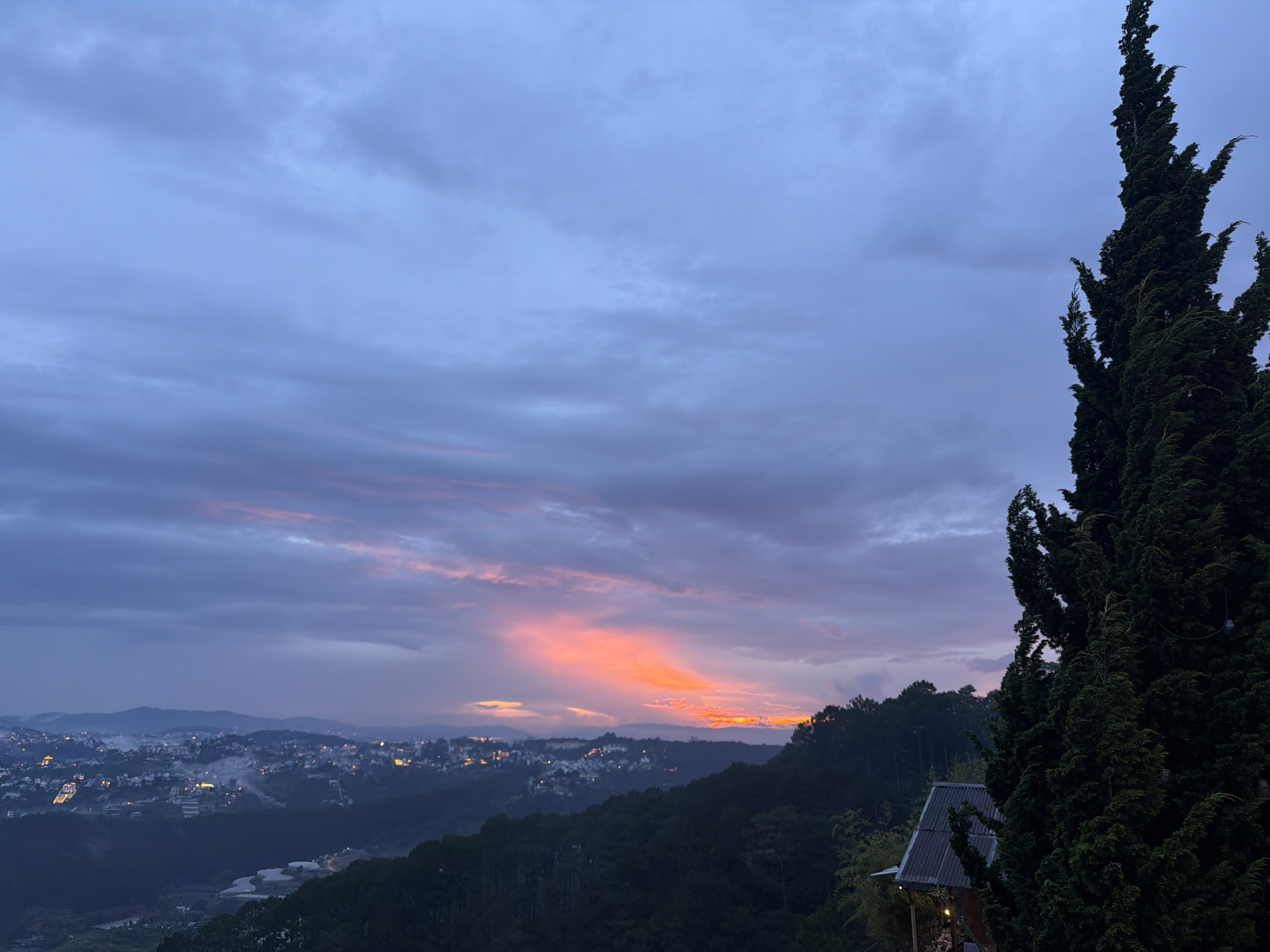 A wide landscape shot captures the sky at dusk over the city of Xuan Truong - Da Lat, Vietnam. The sky is a gradient of deep blue at the top, transitioning to lighter blues and pinks as it nears the horizon, where dramatic clouds are illuminated by the setting sun with vibrant orange and red hues. In the foreground, a tall, dark green conifer tree dominates the right side of the frame, its dense foliage obscuring the view of a small, rustic house with a dark grey corrugated roof situated below it on a slope. The house appears to have some lighting on its porch. Beyond the tree and house, the city of Xuan Truong - Da Lat stretches across rolling hills. Buildings are clustered together, with numerous lights twinkling like scattered stars, indicating the onset of evening. The city lights are softened by a light haze or mist rising from the landscape. The distant hills fade into the background, silhouetted against the colorful twilight sky. The overall atmosphere is serene and picturesque, capturing the transition from day to night in a scenic mountainous region.