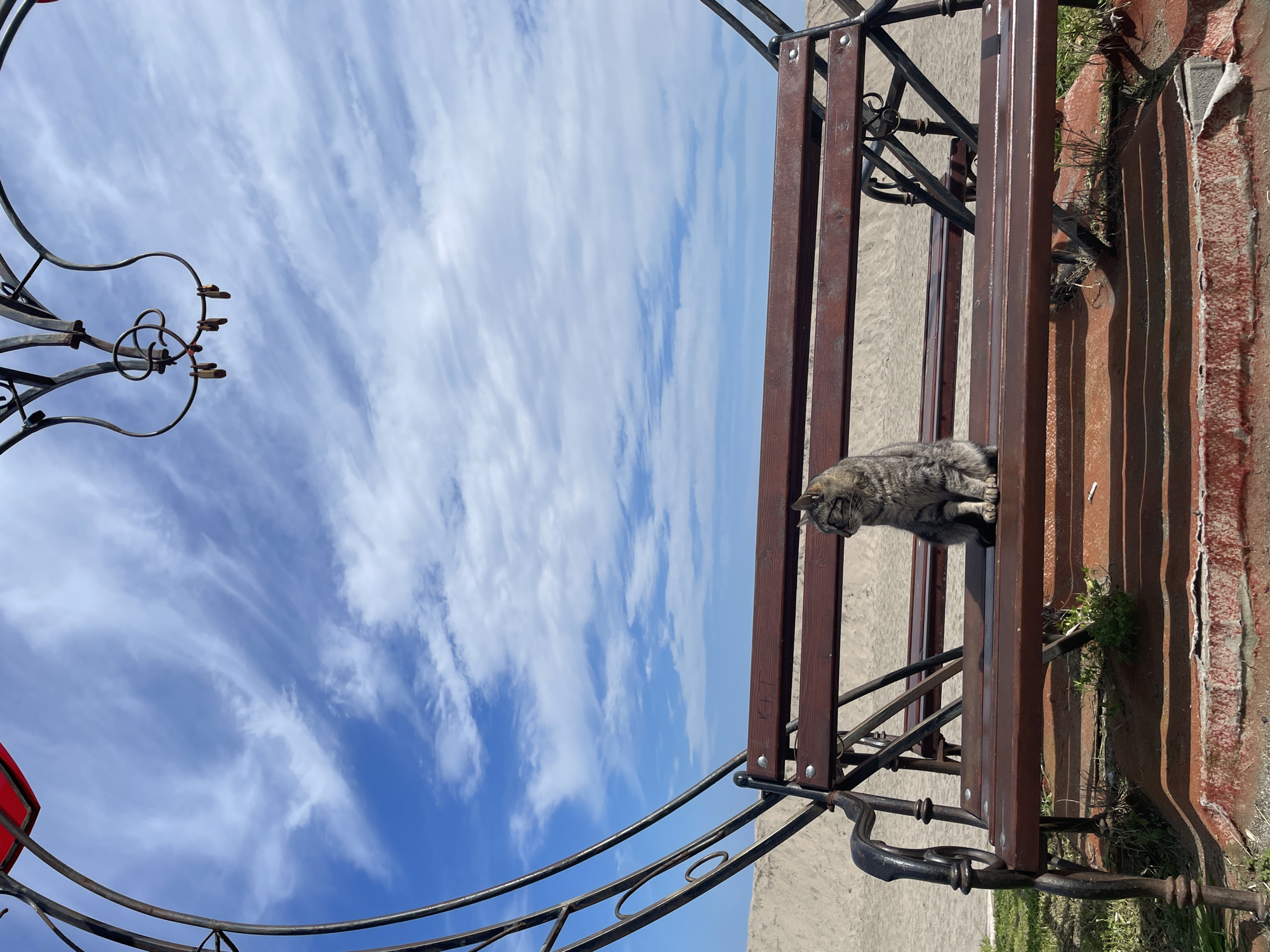 A tabby cat sits on a brown wooden bench with black metal supports in an outdoor setting. The bench is positioned at the edge of a concrete surface next to an oxidized, red-painted metal structure. Vegetation is visible near the base of the metal structure. A decorative black metal arch is partially visible to the left. The sky overhead is blue with wispy clouds. The cat is facing left, looking downward. The location is Burgas, Bulgaria.