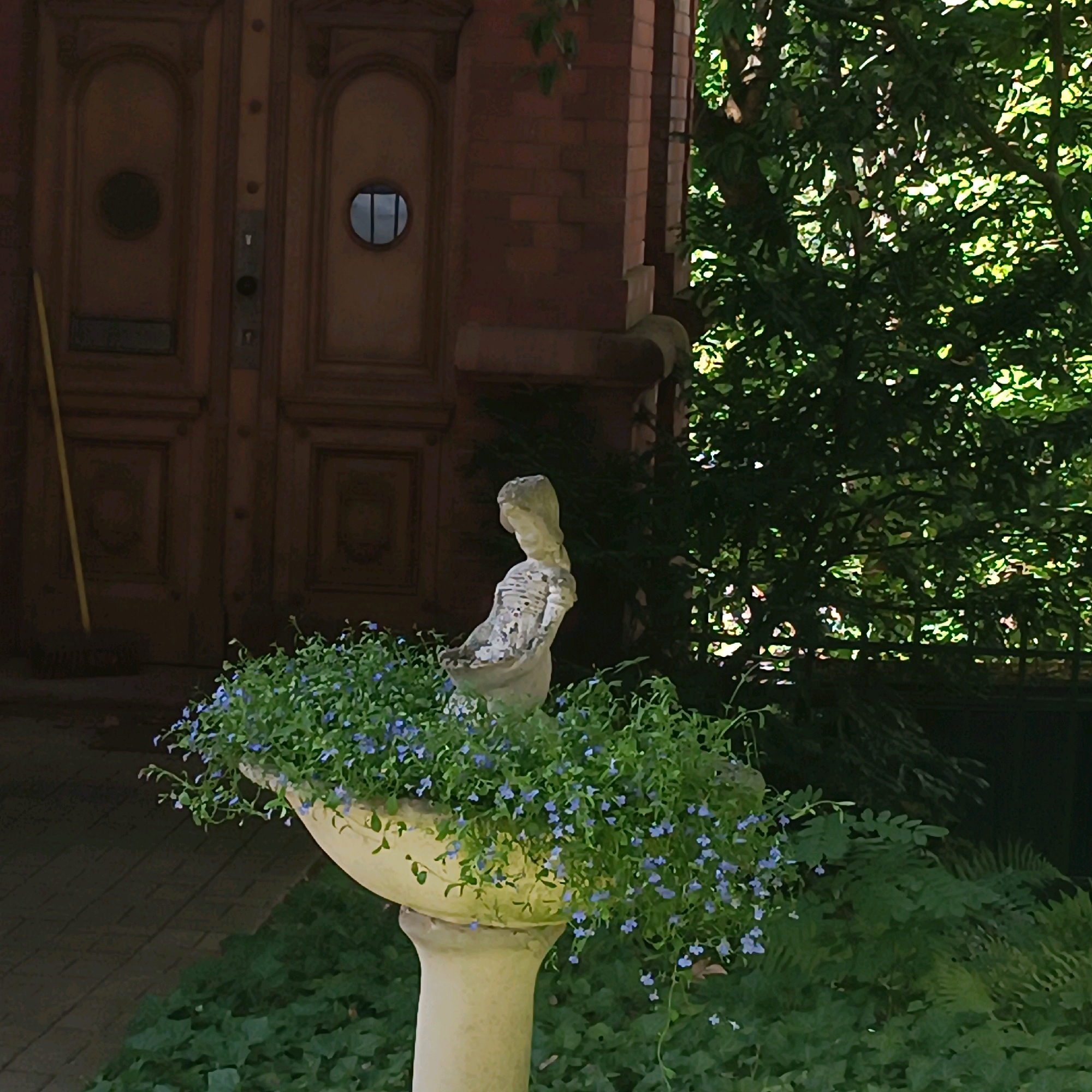 This is a medium-angle, outdoor shot of a decorative stone statue of a woman in a garden. The statue is on a pedestal, and it is partially covered with small green plants and blue flowers. The statue is facing to the left of the frame. In the background, there are large wooden doors with circular windows and red brickwork. A large tree with lush green foliage fills the right side of the frame. The lighting suggests it is daytime, with sunlight filtering through the leaves. The image lacks any specific details that would allow for an accurate determination of its location within Wiesbaden, Germany.
