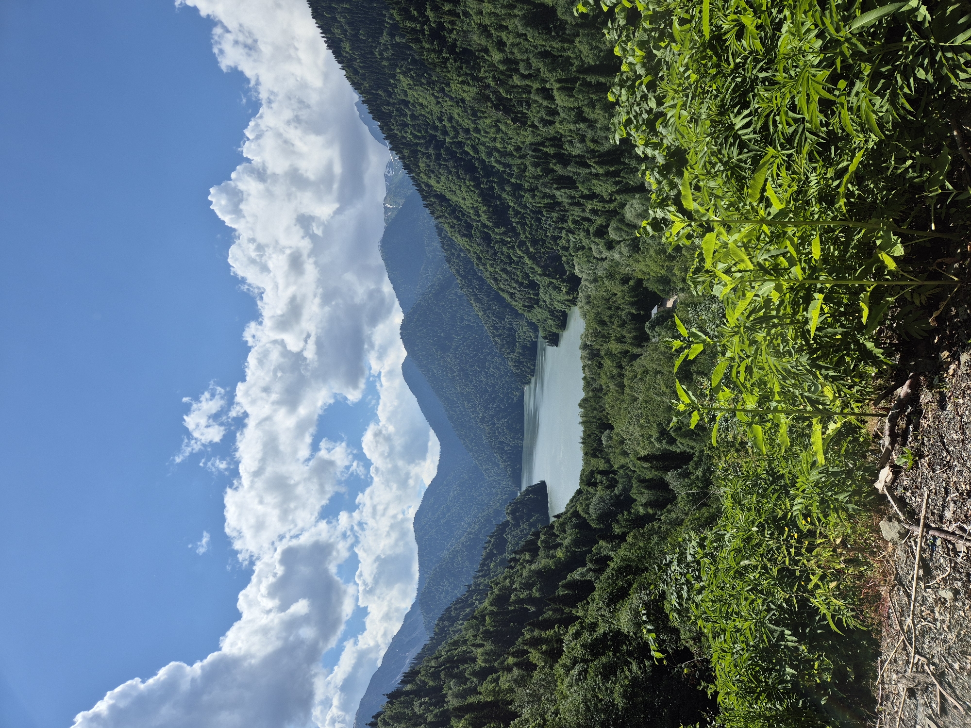 This media file is a vertical, slightly tilted, landscape photograph featuring a serene natural scene. The primary subjects are the majestic mountains covered in dense green forests and a calm body of water, likely a lake, nestled within the valleys. The sky above is a vibrant blue, dotted with fluffy white clouds that cast soft shadows on the mountains. The foreground is dominated by lush green foliage, with some dry branches and rocky ground on the far right, suggesting a path or overlook.
The scene depicts a tranquil natural setting, evoking a sense of peace and awe. The lighting indicates it is daytime, with bright sunshine illuminating the landscape. The weather appears pleasant, with a mix of sun and clouds. The abundant greenery and the mountainous terrain suggest a location with a temperate climate, possibly at a higher altitude. There are no people or specific objects visible, focusing the attention entirely on the grandeur of nature. The overall mood conveyed is one of natural beauty and serenity. There is no visible text in the image.