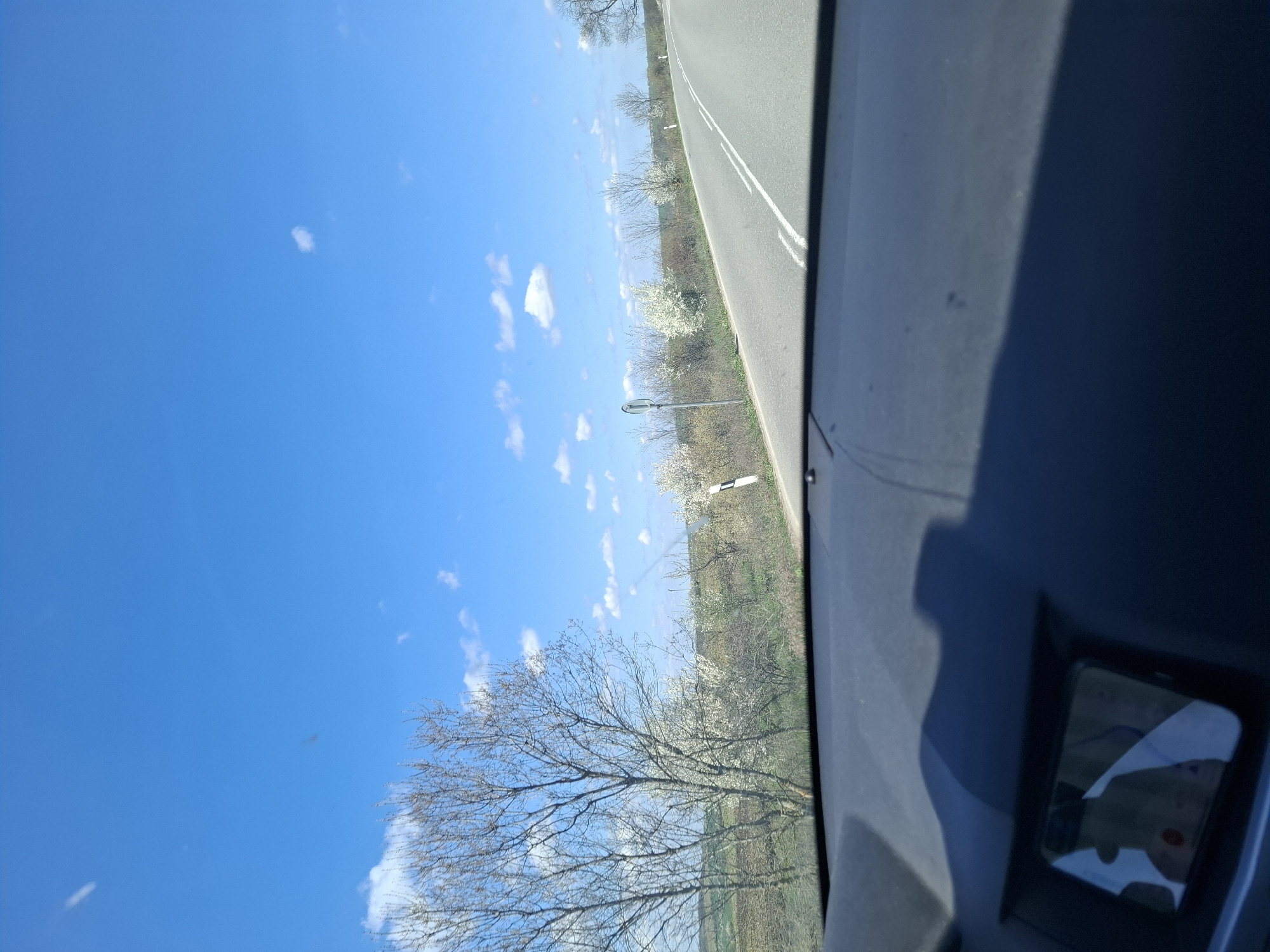The view is from inside a vehicle, looking out towards a clear blue sky with scattered white clouds and a road. The road has a white line divider and is bordered by trees, some with white blossoms. A lamppost is visible along the roadside. The interior of the vehicle, including part of the dashboard and a rear-view mirror, is in the foreground. The location is presumed to be near Studeno Buche, Bulgaria, based on the metadata. No people are visible.