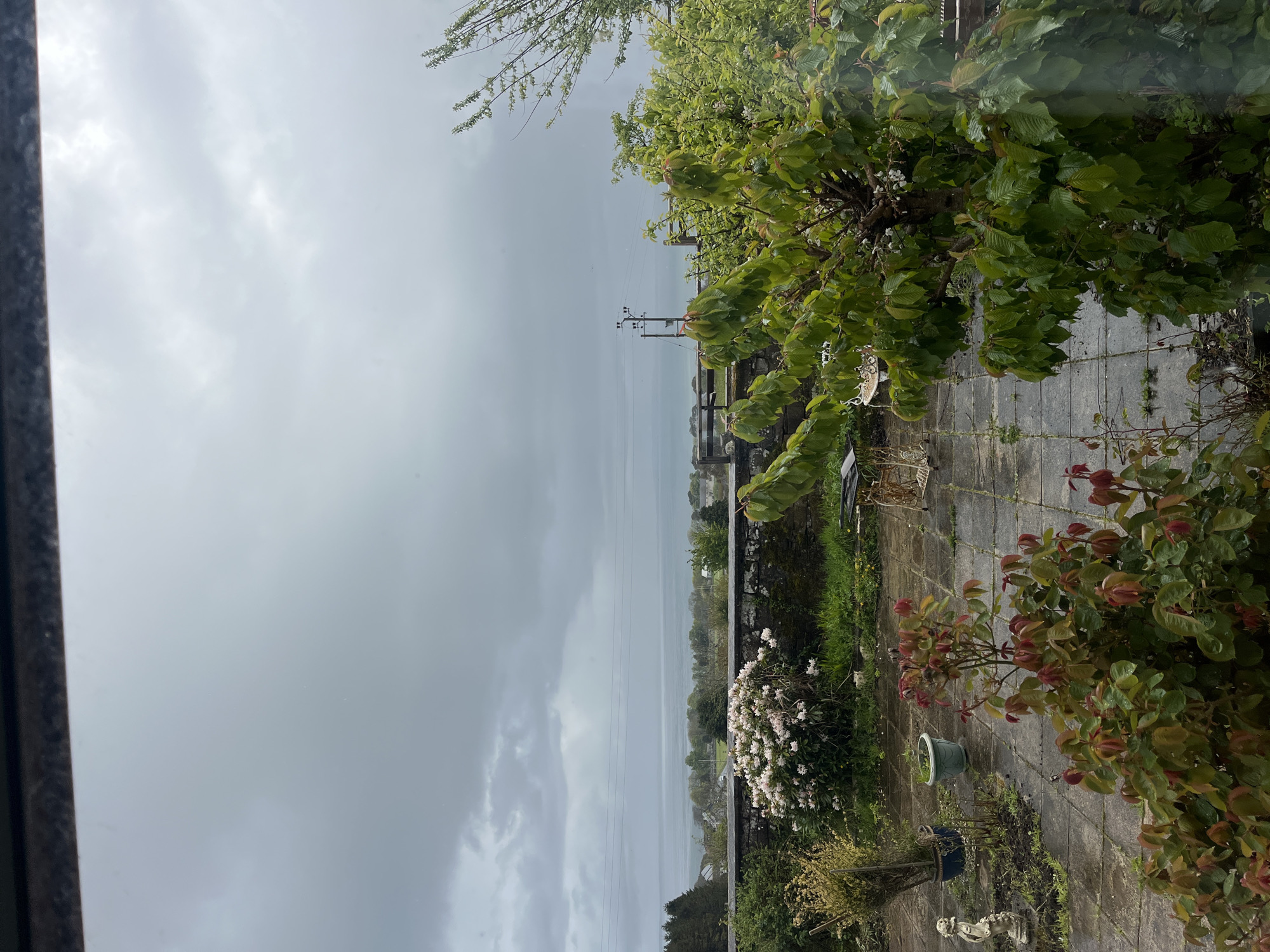 The image depicts an exterior scene, likely a view from inside a building in Golspie, United Kingdom. Overcast skies dominate the upper portion of the image. A body of water, possibly the sea, is visible in the middle distance with a thin strip of land. Trees and shrubs are present in the midground, and a garden or patio area is in the foreground, including flowers, paving stones, and potted plants. The presence of power lines suggests a residential area.