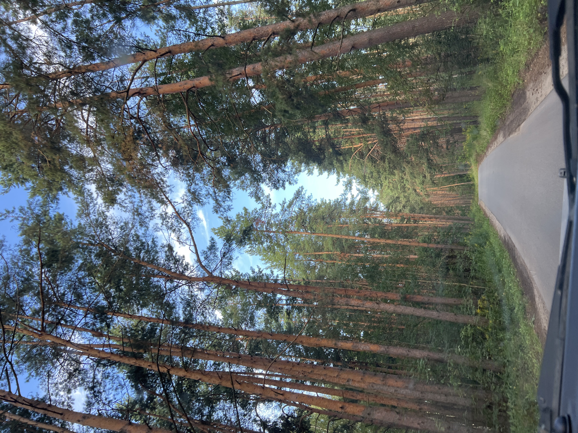 The image shows a narrow asphalt road in a forest, possibly a pine forest, with tall trees lining both sides. The road appears to be relatively straight and leads into the distance, where it curves slightly to the right. The sky is visible through the gaps in the trees, and it is a clear blue with some scattered white clouds. The trees are tall and slender with brown bark and green needles. The ground on either side of the road is covered in grass and other vegetation. The image appears to be taken from the perspective of someone in a vehicle, as the bottom of the windshield and part of the dashboard are visible in the foreground. The lighting suggests it is daytime, possibly late afternoon or early evening, as the sun's rays are casting shadows and highlighting the trees.

The location is identified as Sofronovo (Sitnikovskii S/S), Russia. This suggests a rural or natural setting within the jurisdiction of Sofronovo rural settlement.