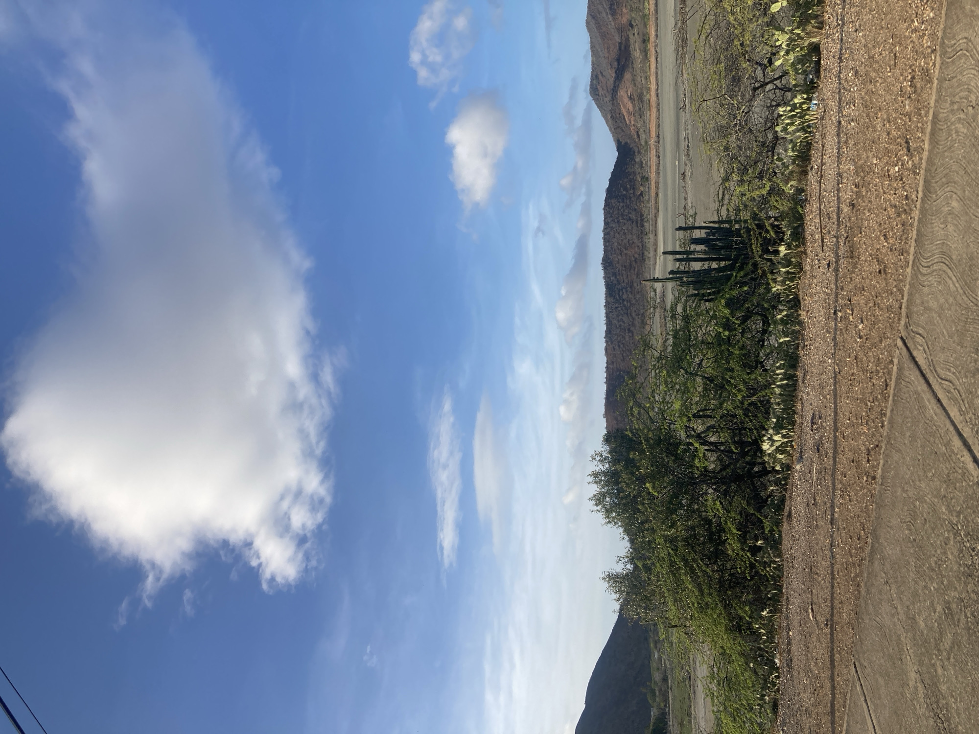 An outdoor, eye-level, vertical, medium shot captures a dry, arid landscape under a bright blue sky with scattered white clouds. In the foreground, a textured, light brown dirt path with some gray concrete elements leads the eye towards the middle ground. The middle ground is dominated by lush green bushes and trees, with several tall, green cacti standing prominently among them. Beyond the vegetation, a vast, dry, light gray expanse stretches towards distant, undulating hills. These hills, covered in sparse, dry vegetation of brown and gray hues, form the background of the scene. The sky is a vibrant blue, with a large, fluffy white cloud dominating the upper left portion of the frame, and smaller, wispy clouds scattered across the horizon. There are no people or animals visible in the image, and the scene appears tranquil and devoid of activity. The overall impression is one of a dry, somewhat desolate, but naturally beautiful landscape.