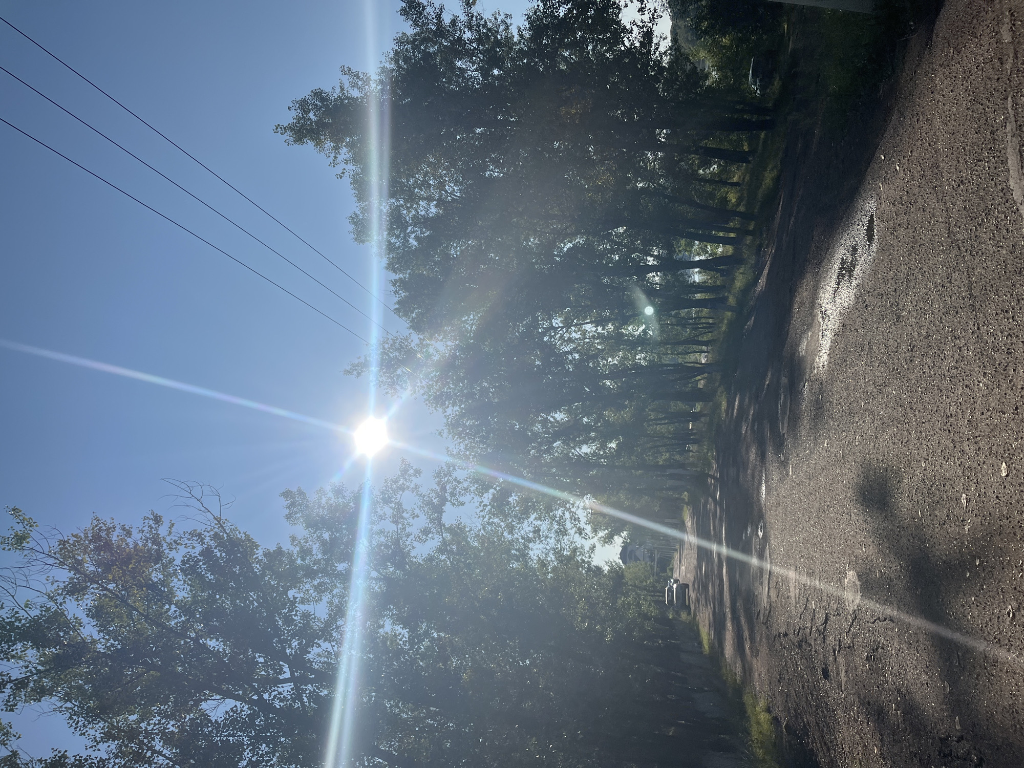 The image depicts a sun-drenched, unpaved road lined with trees on either side, leading into the distance. The sun is bright, creating a lens flare effect and casting long shadows across the road. There are a few cars visible on the road, and what appears to be a building in the far distance. The trees are lush and green, suggesting a warm season. Power lines are visible in the upper right portion of the image. The road surface is rough and appears to have some puddles, possibly from recent rain. The overall scene is one of a rural or suburban area under bright sunlight. The location is the city of Blagoveshchensk, Russia.