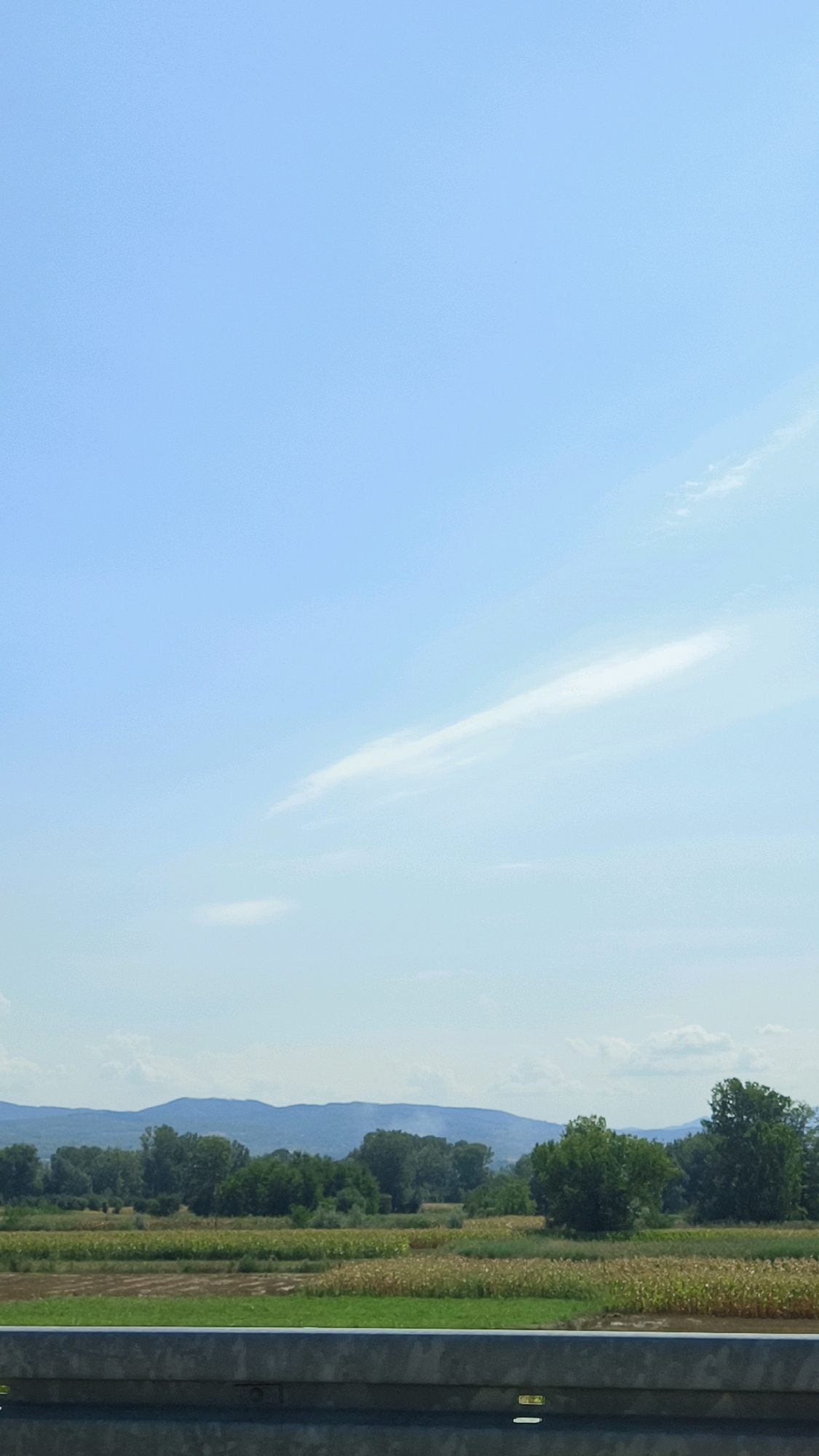 A wide-angle, full-frame shot captures a rural landscape with a bright blue sky dominating the upper two-thirds of the image. A thin, wispy cloud stretches diagonally across the sky from the upper right to the center. The lower third of the image displays a rural scene with agricultural fields of varying colors, appearing to be crops of corn and grass. A line of trees forms a dense, green border behind the fields, and in the distance, a range of blue-tinged mountains forms the horizon. The foreground features a concrete barrier or railing, suggesting the photo was taken from a vehicle or elevated vantage point. The scene is likely located in or around the city of Vranje, Serbia, given the rural topography and vegetation common to the region. There are no people or animals visible in the image.