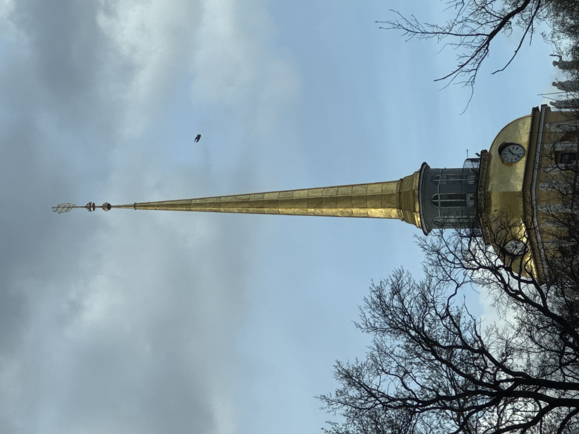 The image prominently features the majestic, gilded spire of a building, identifiable as the Admiralty Spire in Saint Petersburg, Russia, rising against an overcast sky. The spire is slender and tapers sharply to its peak, which is adorned with the characteristic ship weathervane. Below the spire's base, a broader golden structure includes a circular clock face with Roman numerals, where the hands appear to indicate approximately 10:15 or 10:20.
The sky is largely grey and cloudy, with varying shades indicating an overcast day, though some lighter blue patches suggest diffused light rather than heavy gloom. Bare, intricate branches of deciduous trees, devoid of leaves, frame the lower right and upper right sections of the photograph, suggesting a colder season such as late autumn, winter, or early spring. A small, dark bird is captured mid-flight against the cloudy sky in the upper left quadrant. The photograph is taken from a low angle, emphasizing the height and grandeur of the architectural feature. No explicit text other than the clock face numerals is visible.