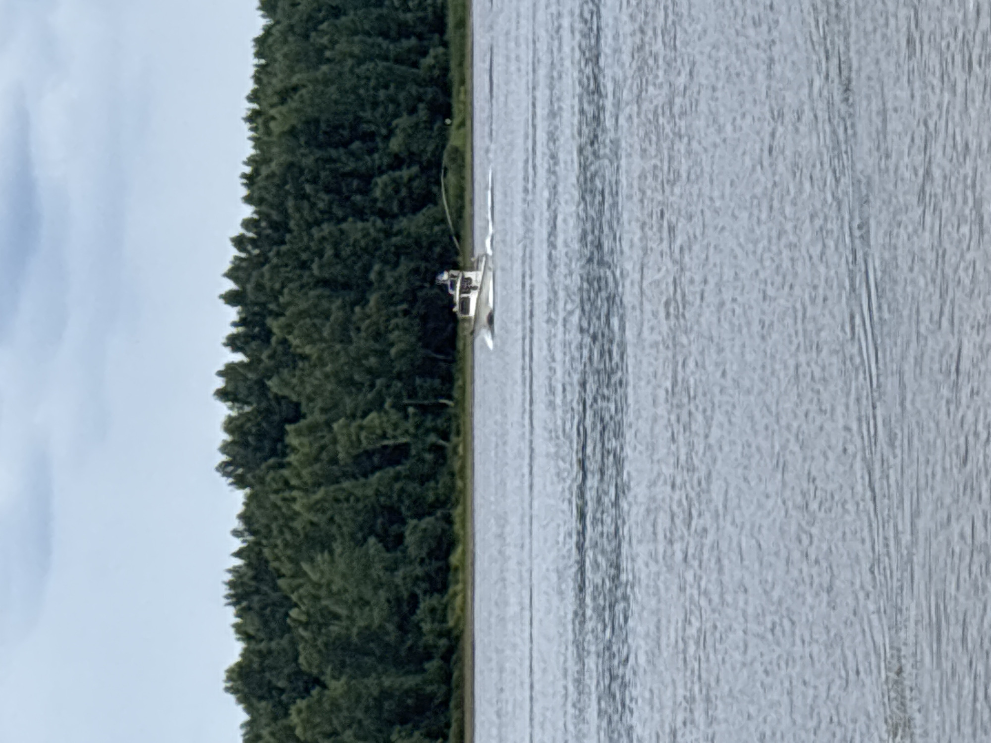 A white motorboat travels across a body of water, leaving a wake. A dense line of dark green trees forms the background, with a slightly overcast sky above. The boat appears to be moving from left to right.