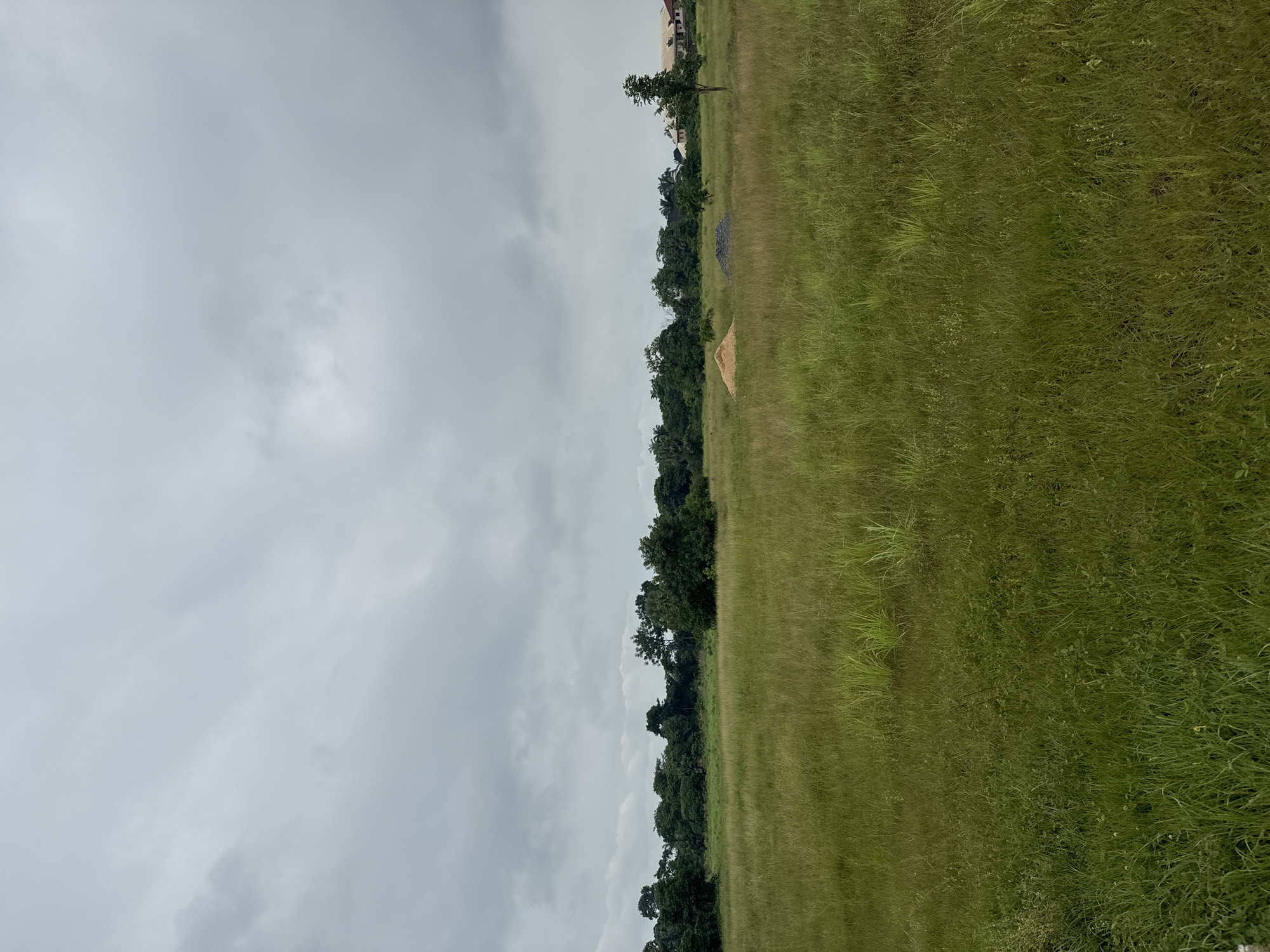 This image depicts an overcast day in a grassy field. The foreground is dominated by tall, green grass, with some lighter-colored patches and individual blades standing out. In the mid-ground, a line of lush green trees forms a dense treeline stretching across the horizon. Amidst the treeline, there are two piles of construction materials: one pile of sand and another pile of gravel. To the far right of the treeline, a few buildings are visible, one of which appears to be a residential structure with a light-colored roof. The sky is heavily clouded with a uniform gray hue, suggesting a lack of direct sunlight. The overall scene appears to be an undeveloped or partially developed area, likely on the outskirts of the city of Awka, Nigeria, given the presence of construction materials and vegetation characteristic of the region. There are no people or animals visible in the image.
