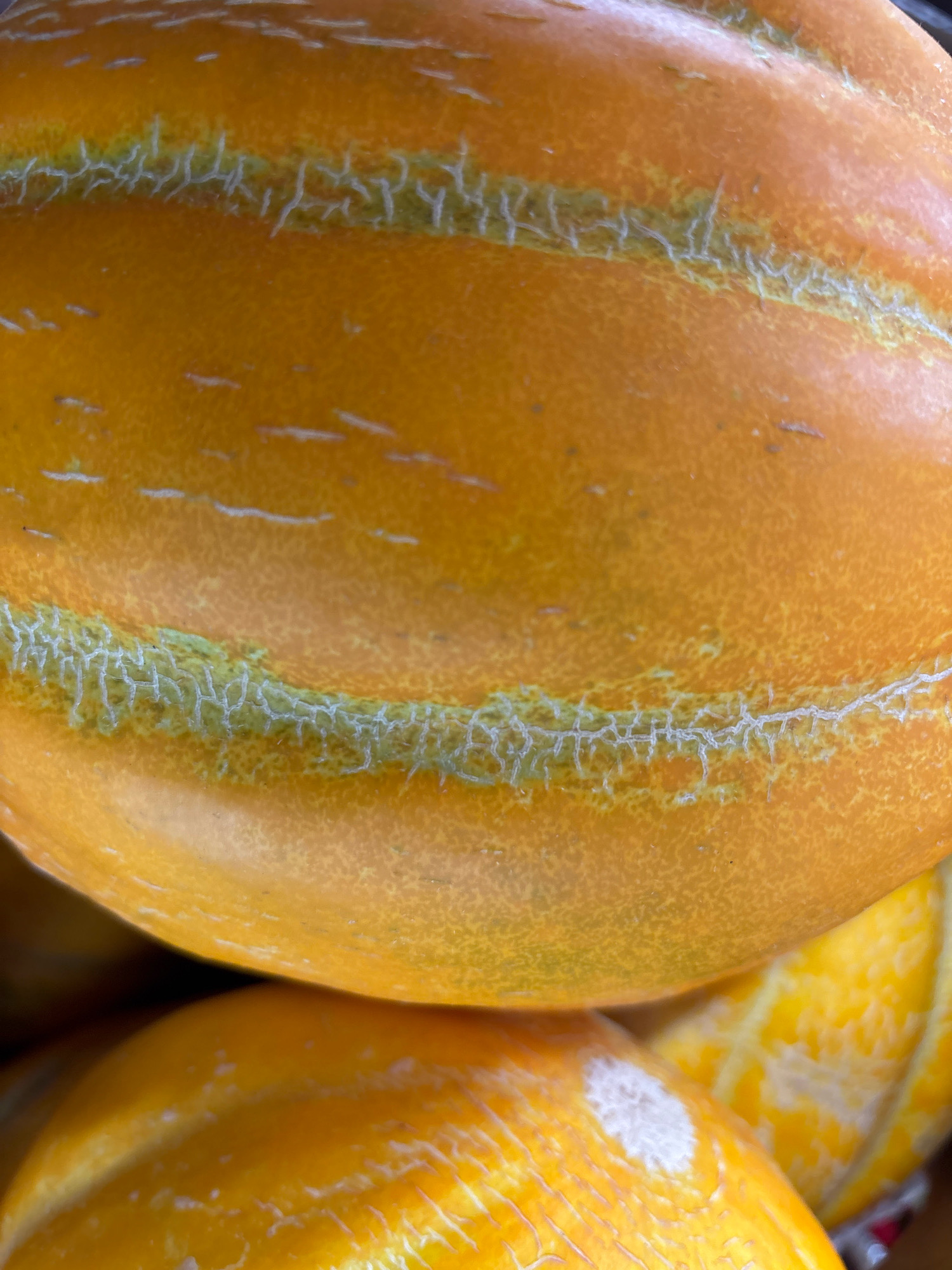 This is a close-up, top-down, eye-level, medium shot of two yellow-orange melons, likely from a market stall in Zvenigorod, Russia. The melon in the foreground is larger and dominates the frame, with its ribbed surface showing fine, light-colored cracks within the darker green striations. The texture of the rind is visible, appearing slightly bumpy. Another melon is partially visible below, also displaying similar coloration and texture. The lighting is bright, highlighting the vibrant color of the melons and creating subtle shadows. The background is dark and out of focus, suggesting a busy marketplace environment.