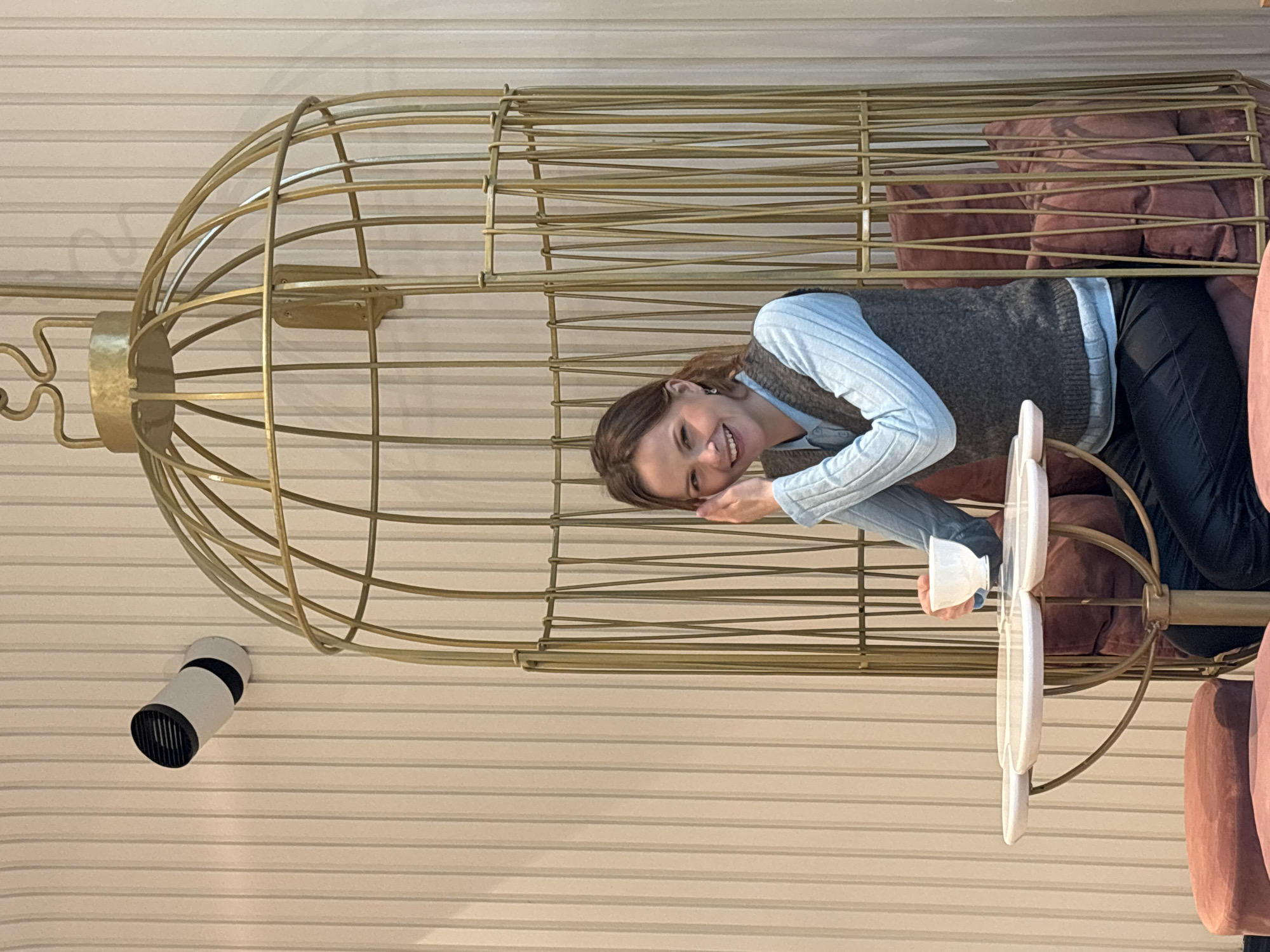 A smiling Caucasian woman is positioned inside a large golden birdcage filled with mauve pillows. She is wearing a light blue long-sleeved shirt layered with a grey vest and dark pants. She is holding a white object that is partially obscured. The birdcage sits in front of a wall with horizontal stripes. A spotlight fixture is mounted on the wall to the left of the cage. The location is Saint Petersburg, Russia.
