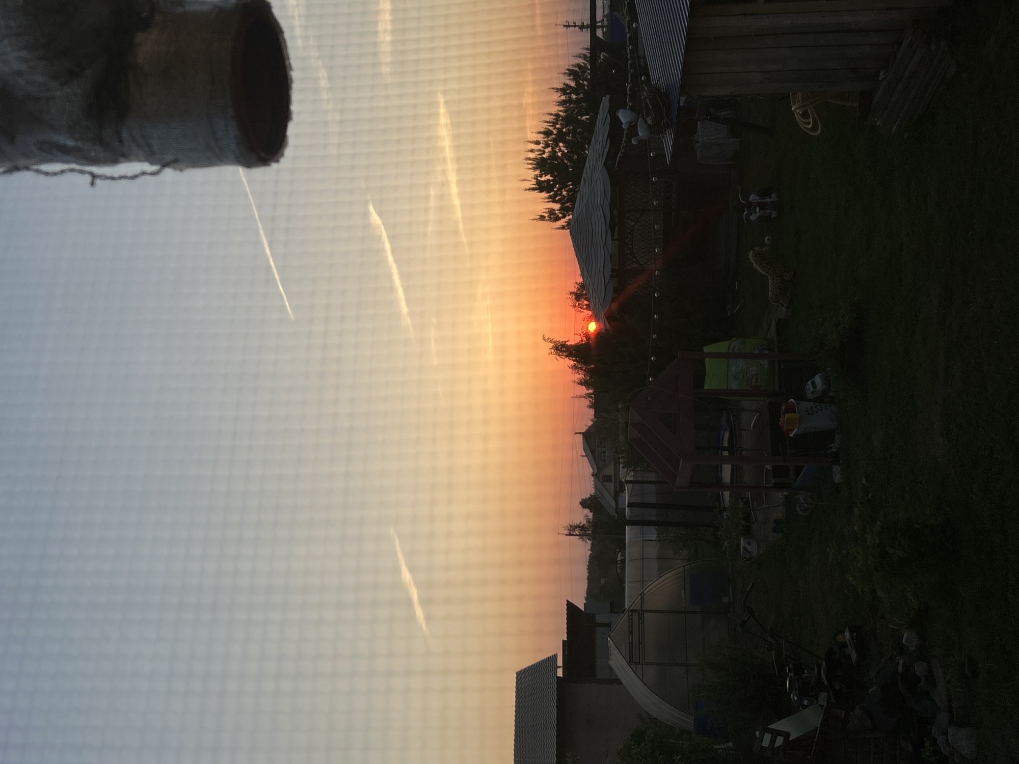 The image shows a sunset in Ольховка, Russia, as viewed through a window screen. The sky transitions from a bright orange near the horizon to a lighter gray-blue higher up, with some contrails visible. Outside the window, there are houses, trees, and other buildings. There's a cat tree visible in the top left corner inside the building and screen covering the window.