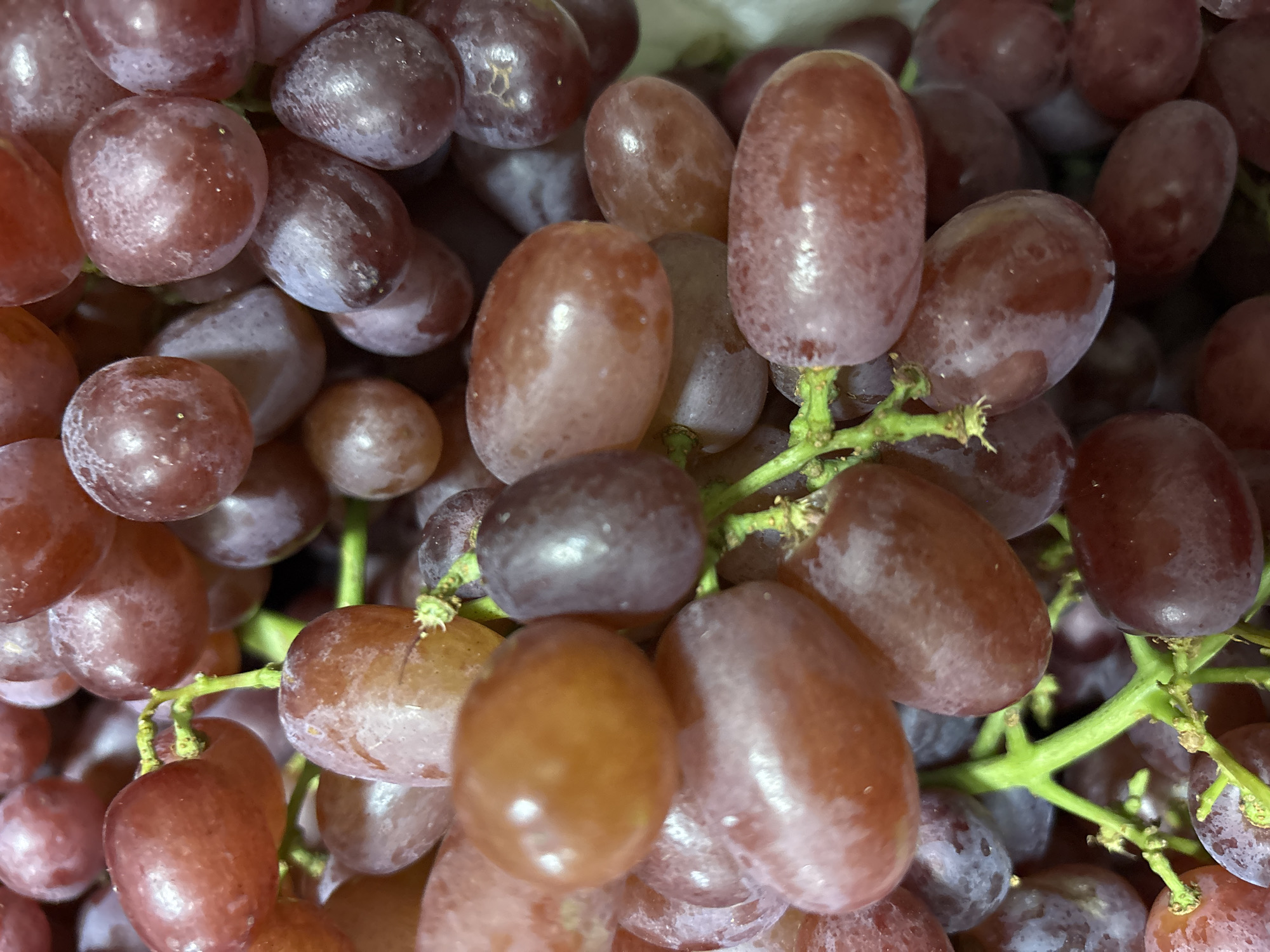 The image displays a close-up, overhead view of a cluster of red grapes. The grapes are plump and oval-shaped, with varying shades of red and purple, some exhibiting a light bloom. The focus is entirely on the fruit, with no background or environmental details visible. There are no people, actions, or interactions depicted. The image does not contain any information that would allow for its localization in Zvenigorod, Russia, or any other specific geographic location.