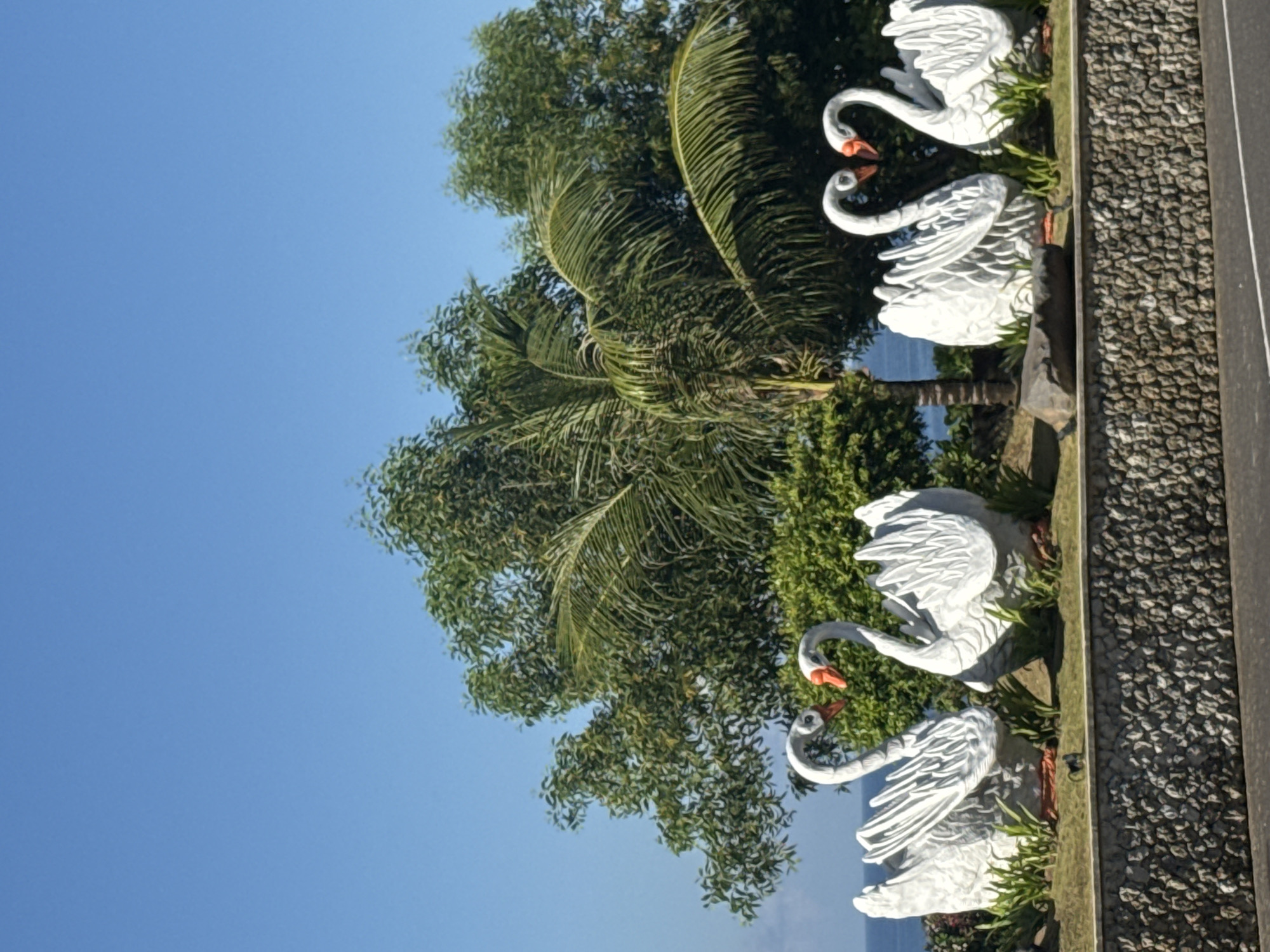 The image depicts a row of four white swan statues arranged in pairs. The statues are positioned along a wall adorned with pebbles. Lush green trees, including a palm tree, rise behind the statues, with a clear blue sky visible above. The location is suggested to be Ungasan, Indonesia.