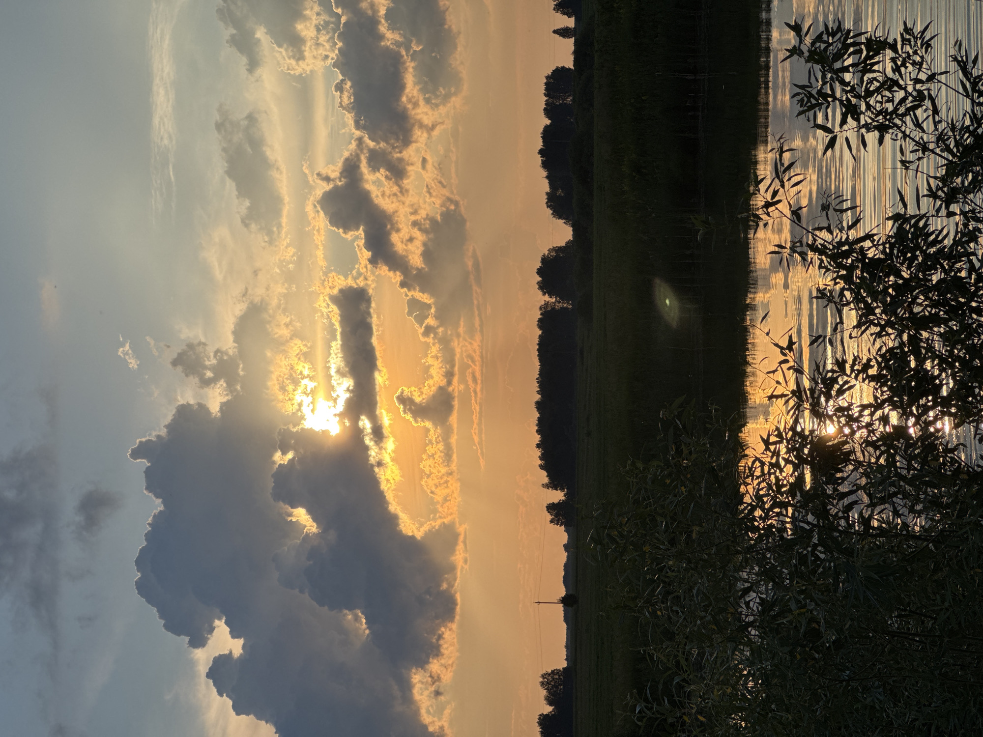 The image depicts a serene natural landscape at dusk, likely in or near the village of Bigila, Russia. The foreground is dominated by the silhouettes of dark green, leafy branches of trees or bushes, partially obscuring a body of water. The water's surface reflects the warm, orange and yellow hues of the setting sun and the dramatic clouds.
In the mid-ground, a flat, dark green field stretches towards a dense line of trees that forms the horizon. A solitary utility pole stands in the field, breaking the uniformity of the landscape. The sky is a spectacle of color, with large, dark gray clouds contrasting with vibrant orange and yellow patches illuminated by the setting sun. These clouds are heavily textured and appear to be breaking apart, allowing rays of sunlight to stream through. The overall impression is one of a peaceful, rural evening scene, with the natural elements of water, land, and sky creating a visually striking composition.