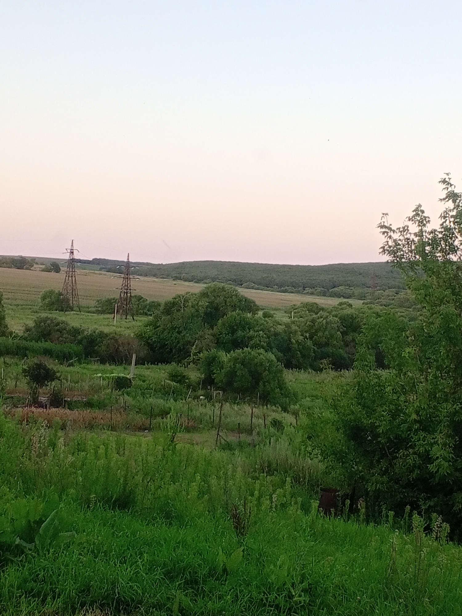 An outdoor, medium-distance, eye-level shot captures a landscape featuring two towering electrical pylons situated in a rural environment. The pylons, constructed of dark metal, stand amidst lush green vegetation, including trees and tall grass. In the background, rolling hills covered in trees form a natural horizon, beneath a pale, dusky sky. A small, dark, barrel-shaped object is visible partially obscured by foliage in the lower right quadrant of the image. The scene appears to be a pastoral or undeveloped area, with no visible structures or human presence apart from the pylons.
