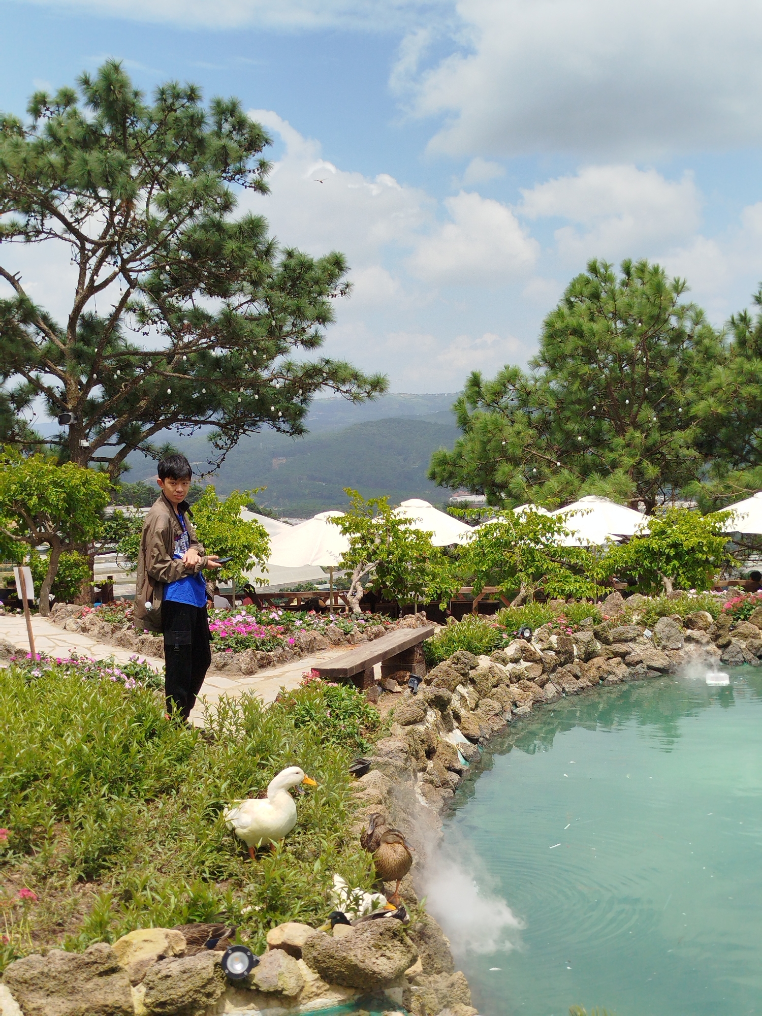 The image depicts a young boy standing in a garden near a pond in Xuân Thành, Vietnam. He is wearing a brown jacket over a blue shirt and black pants, holding a phone in his right hand. Behind him, a large pine tree with white lights strung on its branches dominates the upper left portion of the frame. In the background, there are several white umbrellas, lush green trees, and rolling hills. A white duck stands to the boy's left, and a brown duck is perched on the rocky edge of the pond in the foreground, where steam is rising from the turquoise water. The area is decorated with numerous small pink flowers and rocks. The sky is partly cloudy.