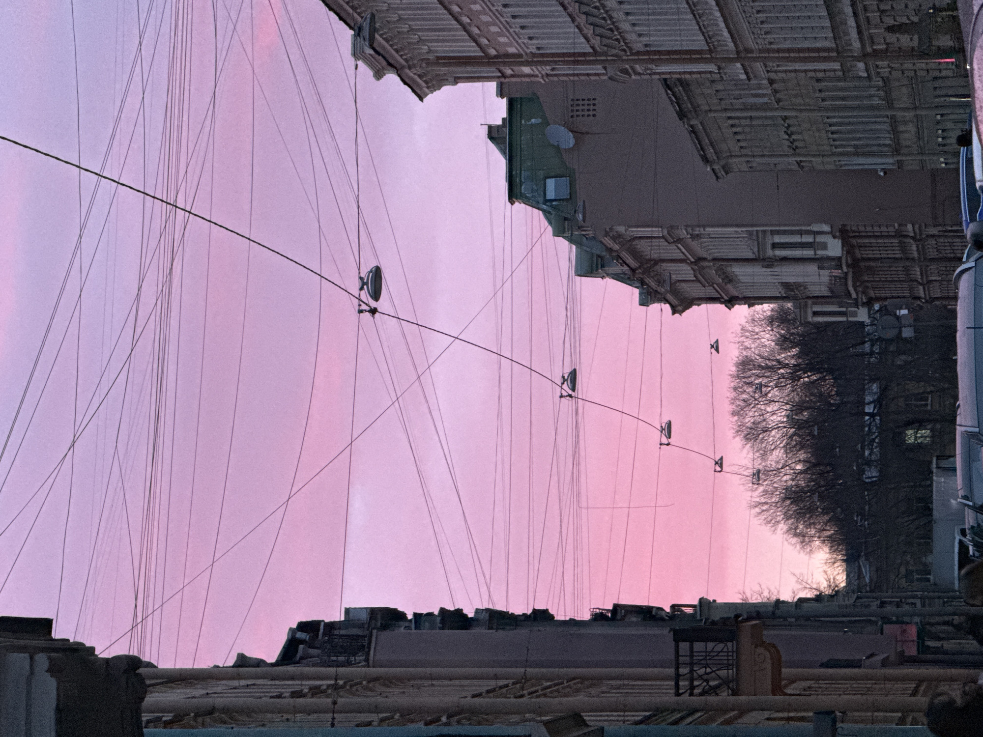 Here's a description of the image:
The photograph depicts a scene in Saint Petersburg, Russia, known for its distinctive architectural style and intricate network of overhead cables. The image is oriented upside down, offering an unusual perspective.
The dominant feature is the pink sky, indicating either dawn or dusk. A dense network of electrical or communication wires crisscrosses the sky, suspended between buildings. These wires appear to originate from or connect to the ornate facades of the buildings visible at both the top and bottom of the frame (given the image's inverted orientation).
The buildings themselves are typical of Saint Petersburg's architecture, with detailed facades, multiple stories, and visible signs of age and weathering. The building features details like cornices, window frames, and possibly satellite dishes. Silhouetted treetops are visible in the middle-right of the frame. Rooftop elements are visible at what would typically be the bottom of the image.
