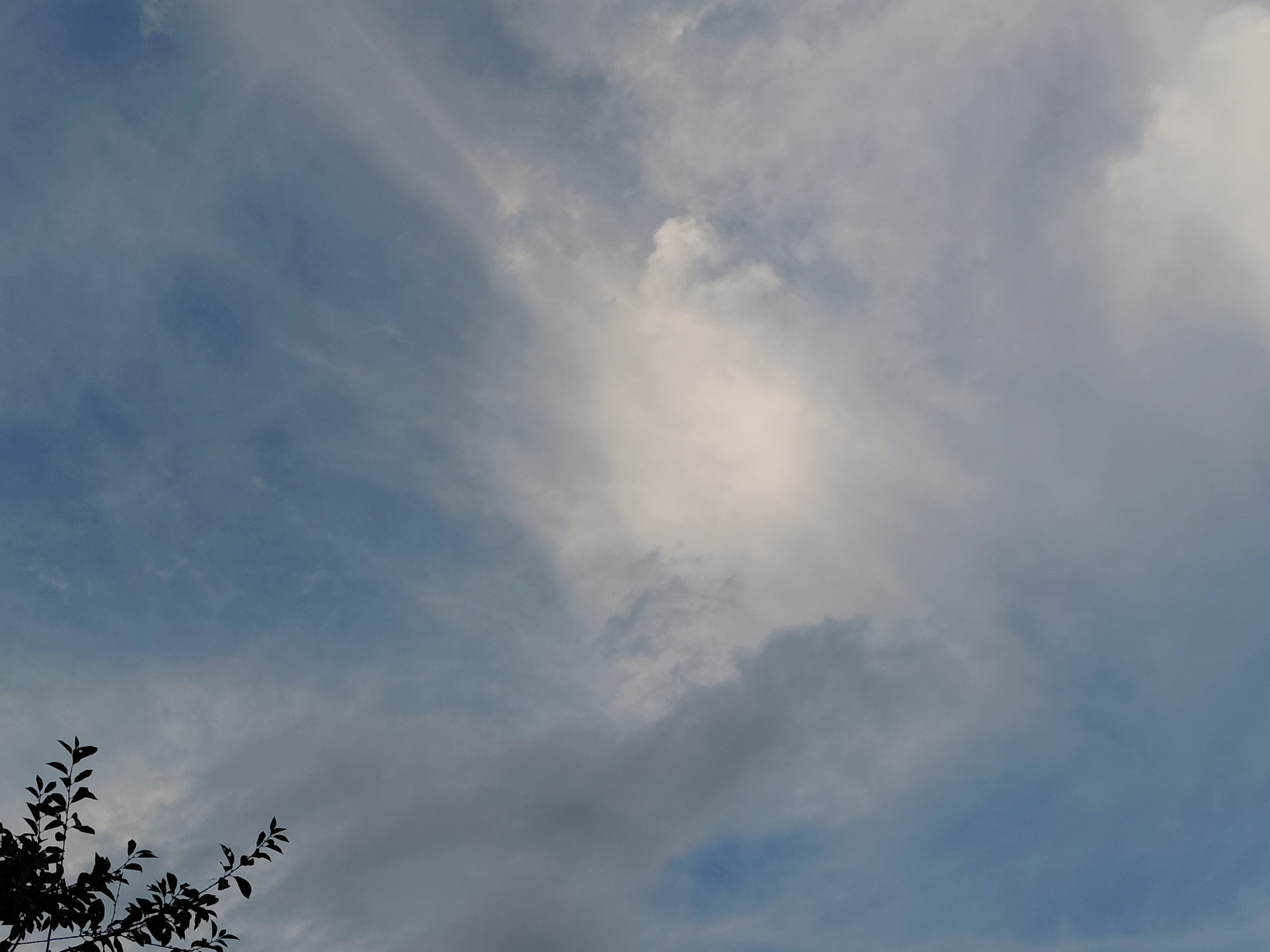 A wide shot captures a cloudy sky with patches of blue visible through the diffused light. In the lower left corner, the dark silhouette of tree branches and leaves is visible against the sky. The image appears to be taken outdoors in Podstyopnovka, Russia, though no specific city landmarks or people are identifiable. The overall impression is one of natural scenery under overcast or partly cloudy conditions.