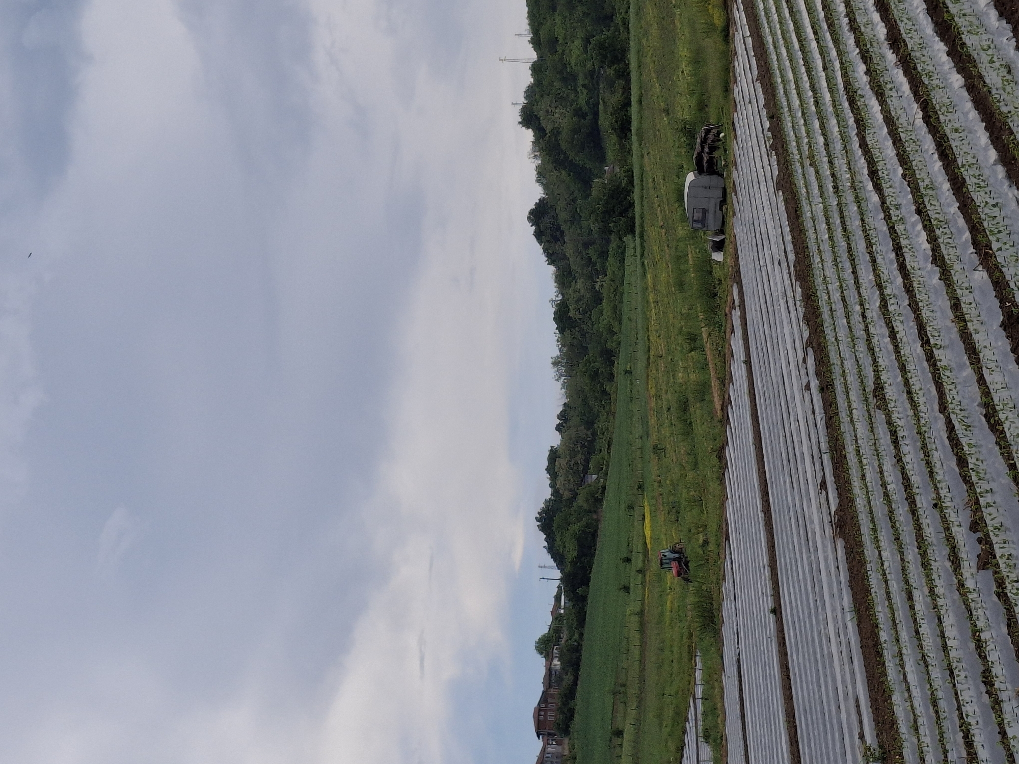 A photograph shows agricultural fields in what appears to be Krumovgrad, Bulgaria. In the center of the image is a green grassy field with a forest of trees, telephone poles and houses in the background. There is a tractor on the field. Adjacent to the grassy field on the right are rows of crops covered in plastic sheeting. A truck-like object is parked on the edge of the grassy field between the field and the crops. The sky is mostly cloudy.